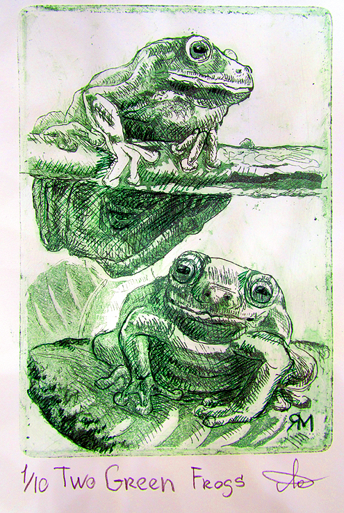 Two Green frogs – Ltd Ed Print