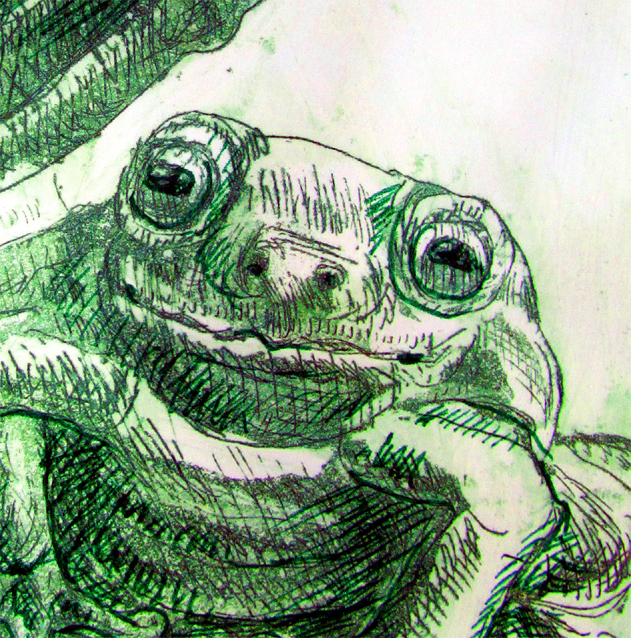 Two Green Frogs Det2