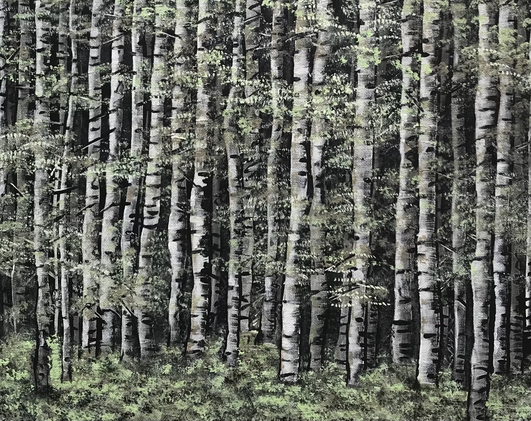 B3e2b917 D34f 474a 9bea F7f056ce8af5