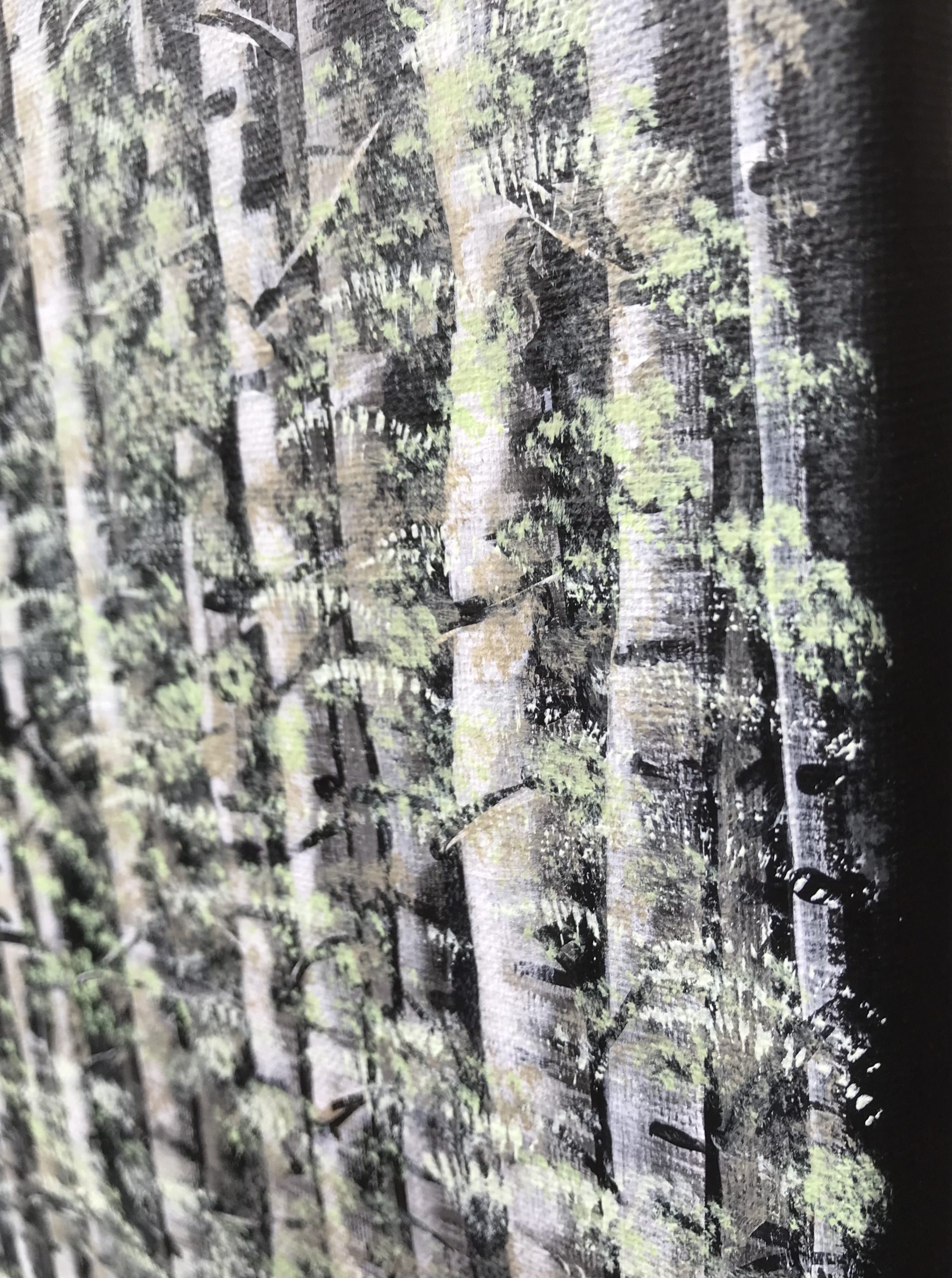 B82cc02d 9c89 4ab3 B77b D2d625aa0a57