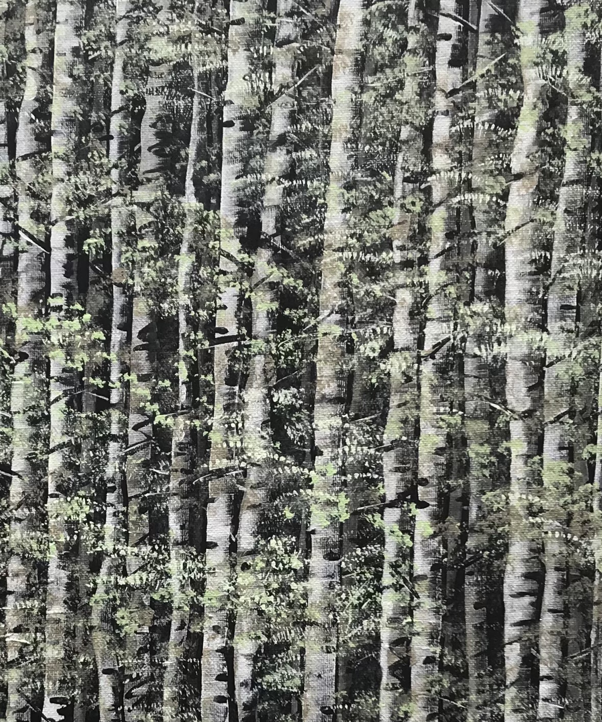 A384d79a 198e 4dfc Be66 Acd42648345a