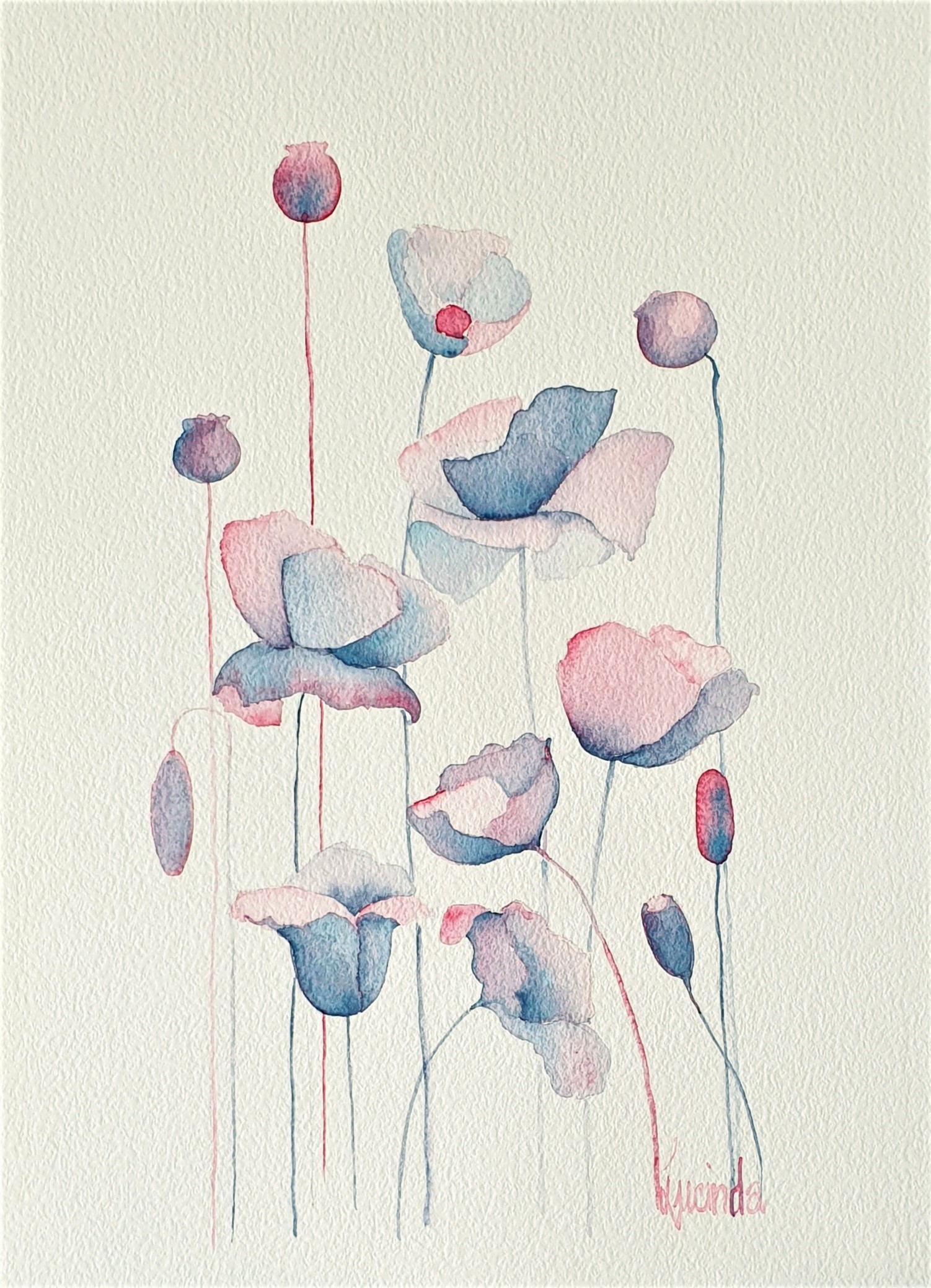 Little Poppy Blossoms Lucinda Leveille 1