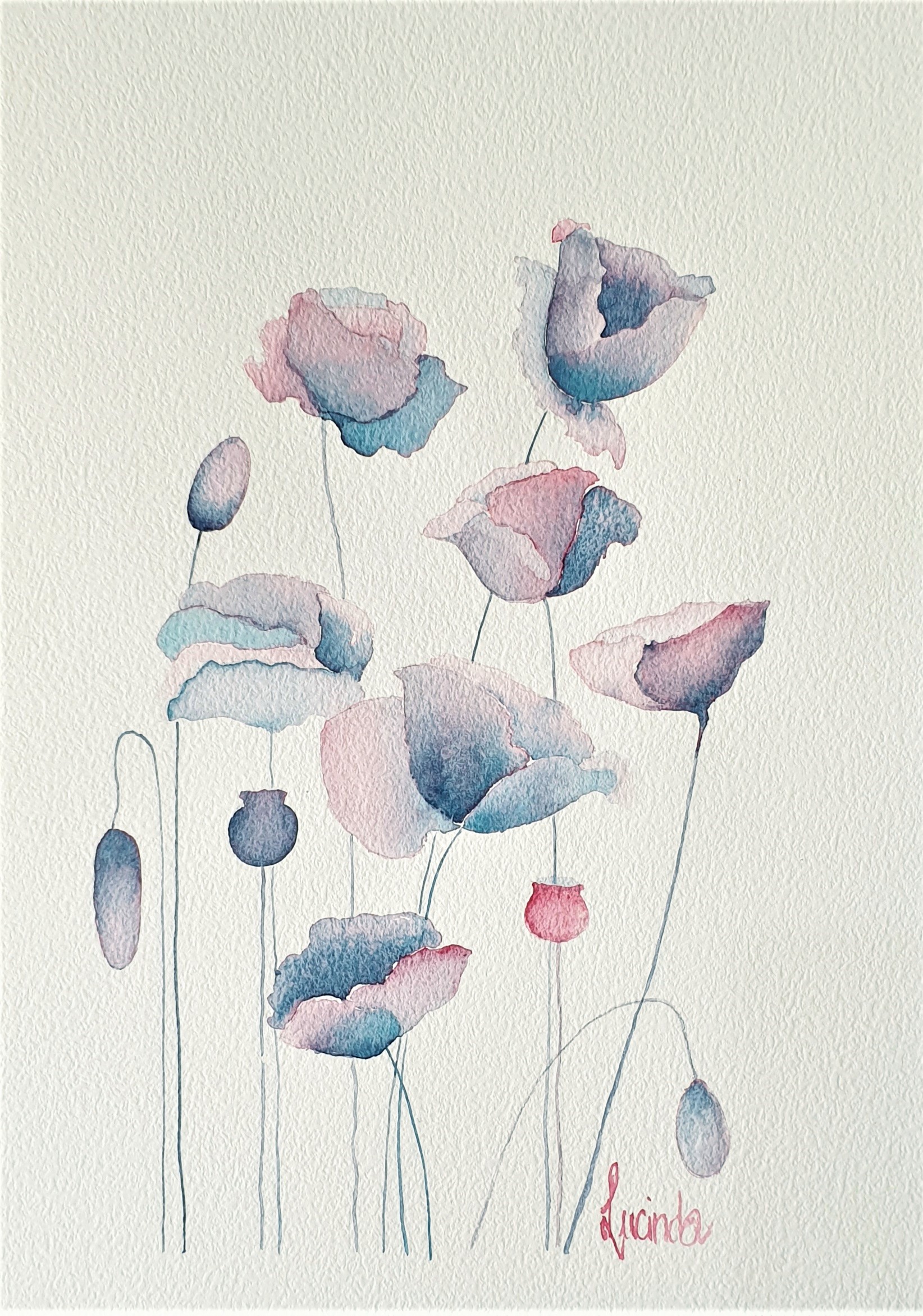 Little Poppy Blossoms Lucinda Leveille 2
