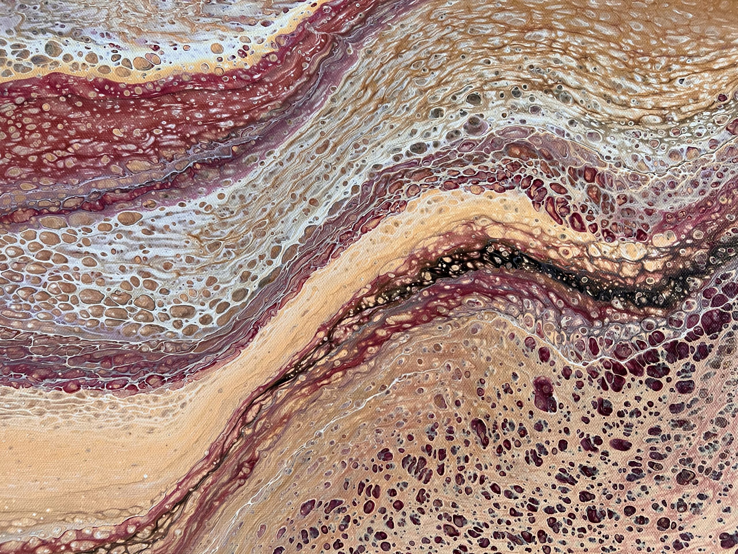 24bfaf97 779c 41f3 9859 6544a46d4e1f