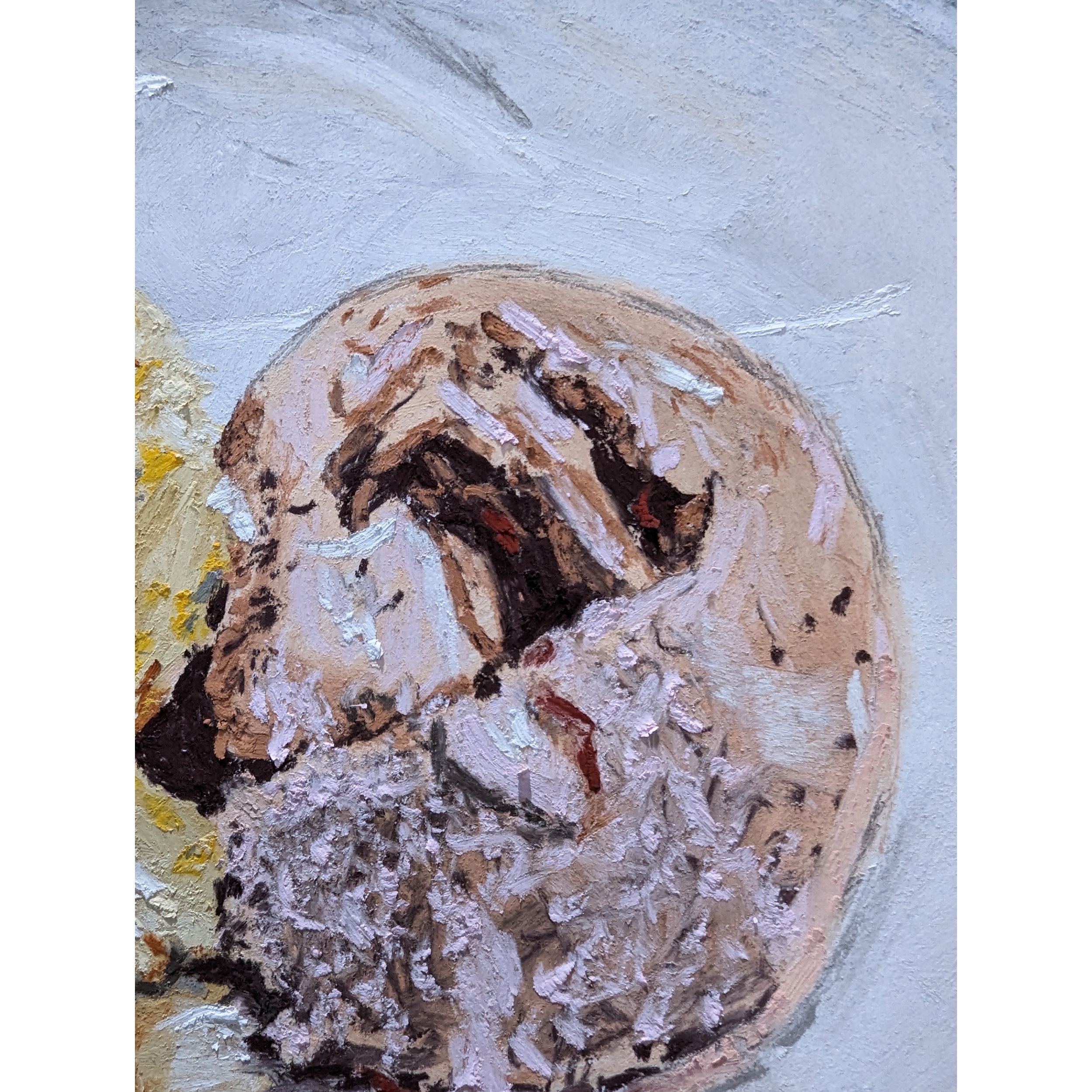 Sam Askin Home Made Ice Cream And Topping Strawberry