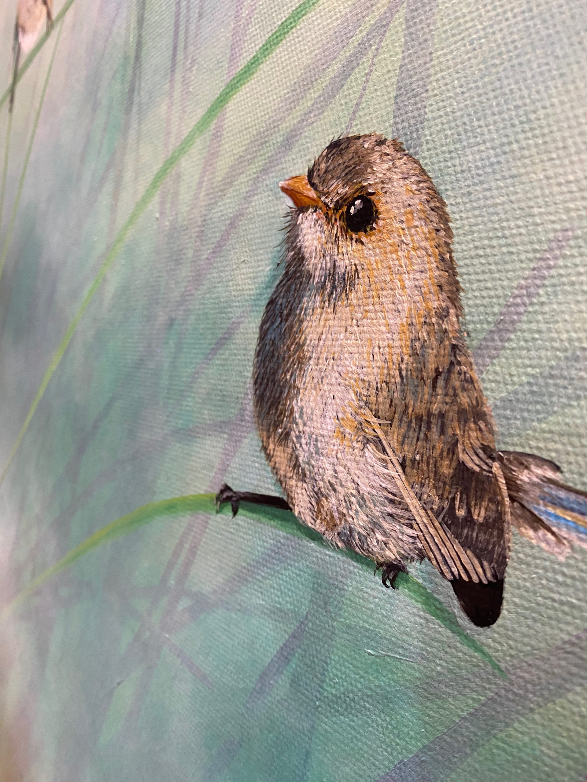 For Mrs Sumpton The Farm Wrens Kim Neil Detail 4