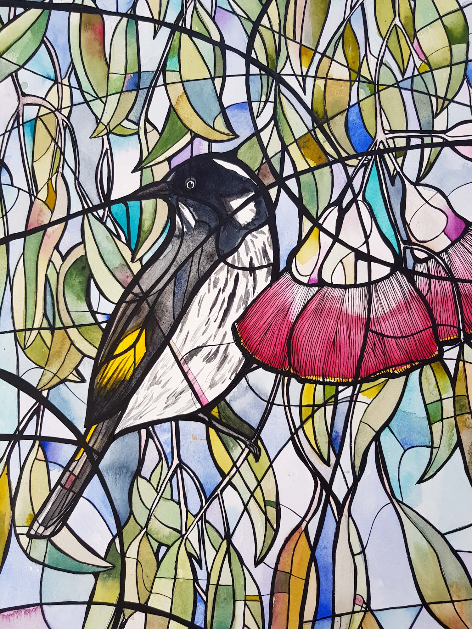 New Holland And Gum Flowers 2 Watercolour