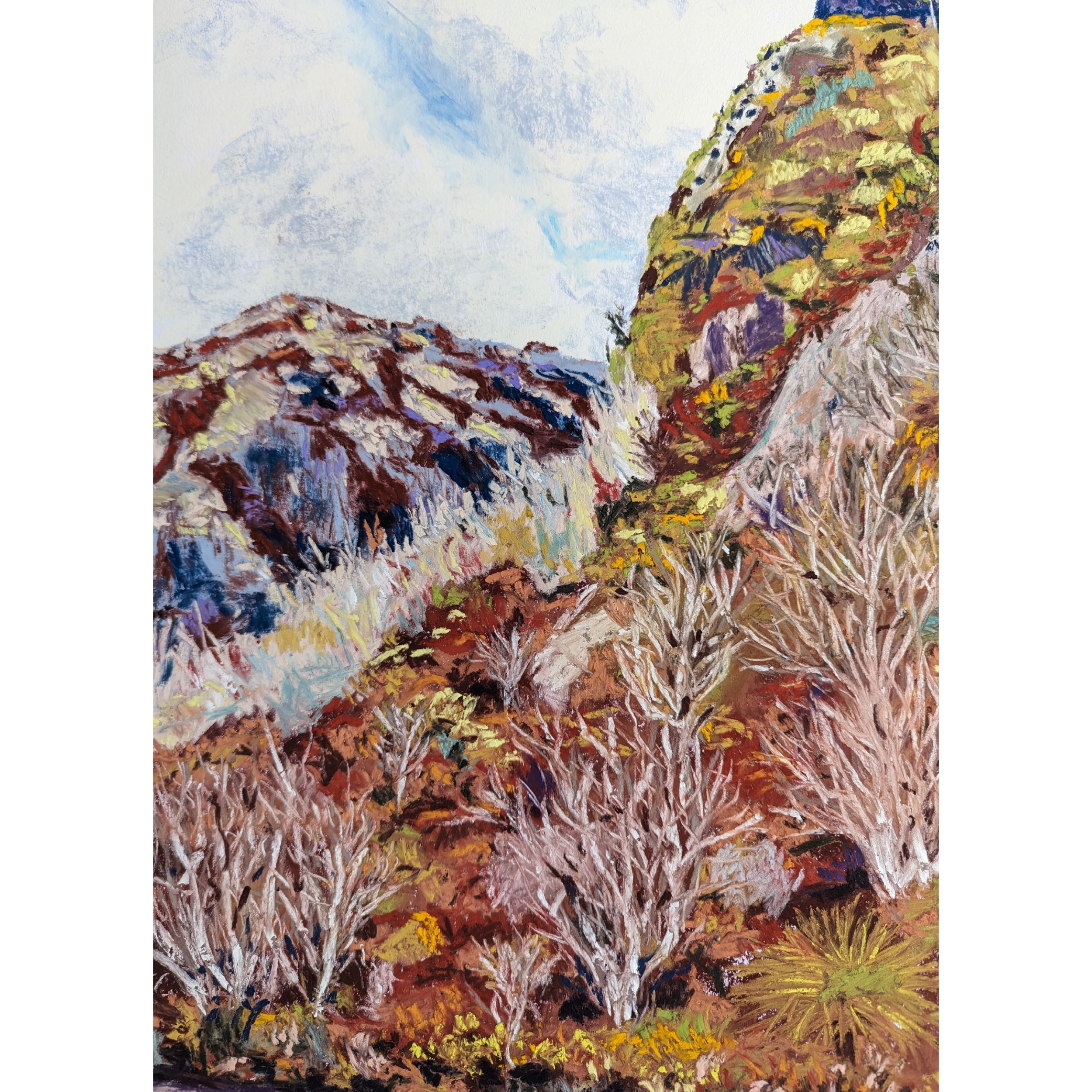 Sam Askin Cradle Mountain Hut Trees