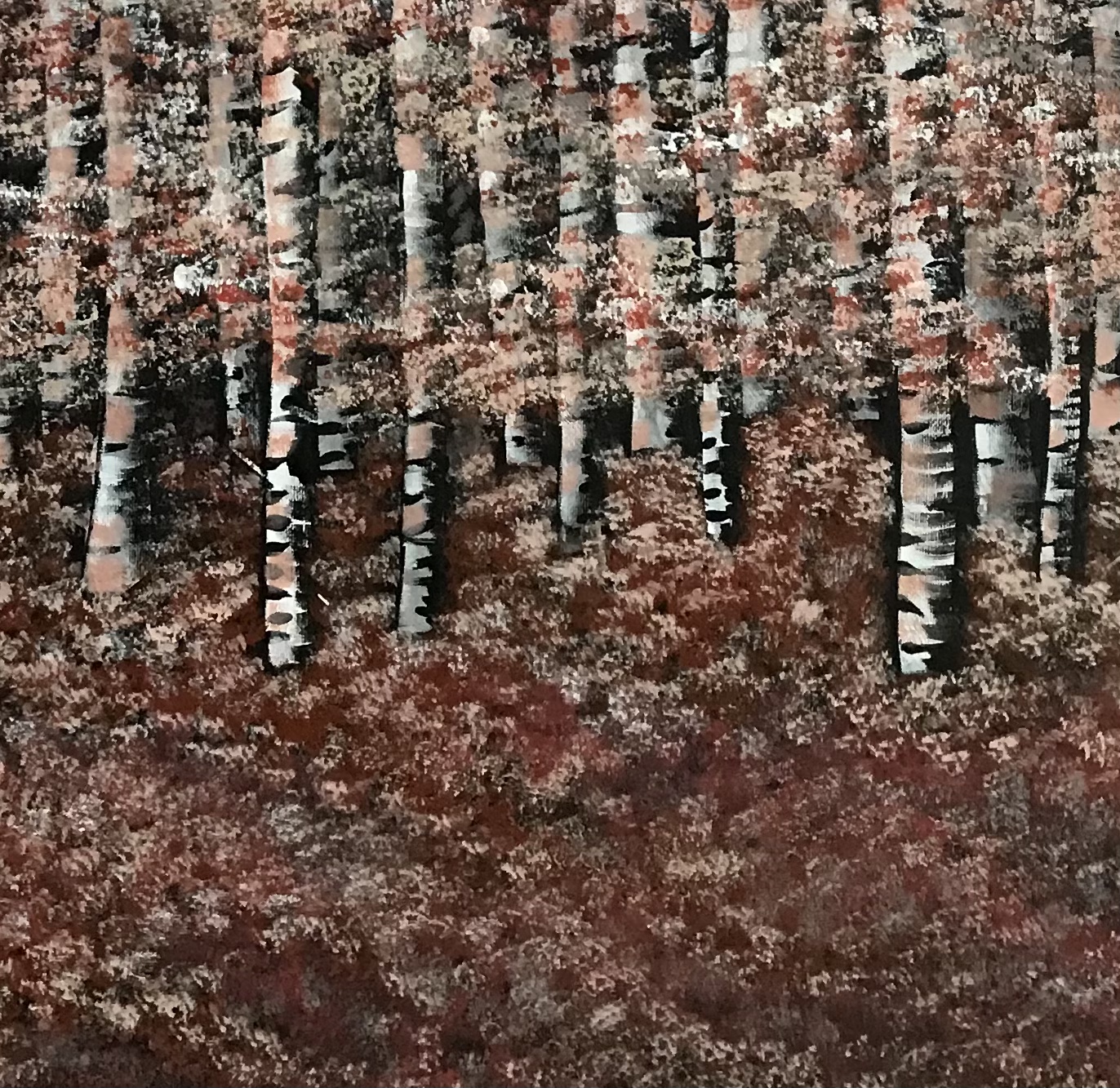 Dcc0076b 846e 419b A231 64ddc6e0ed14