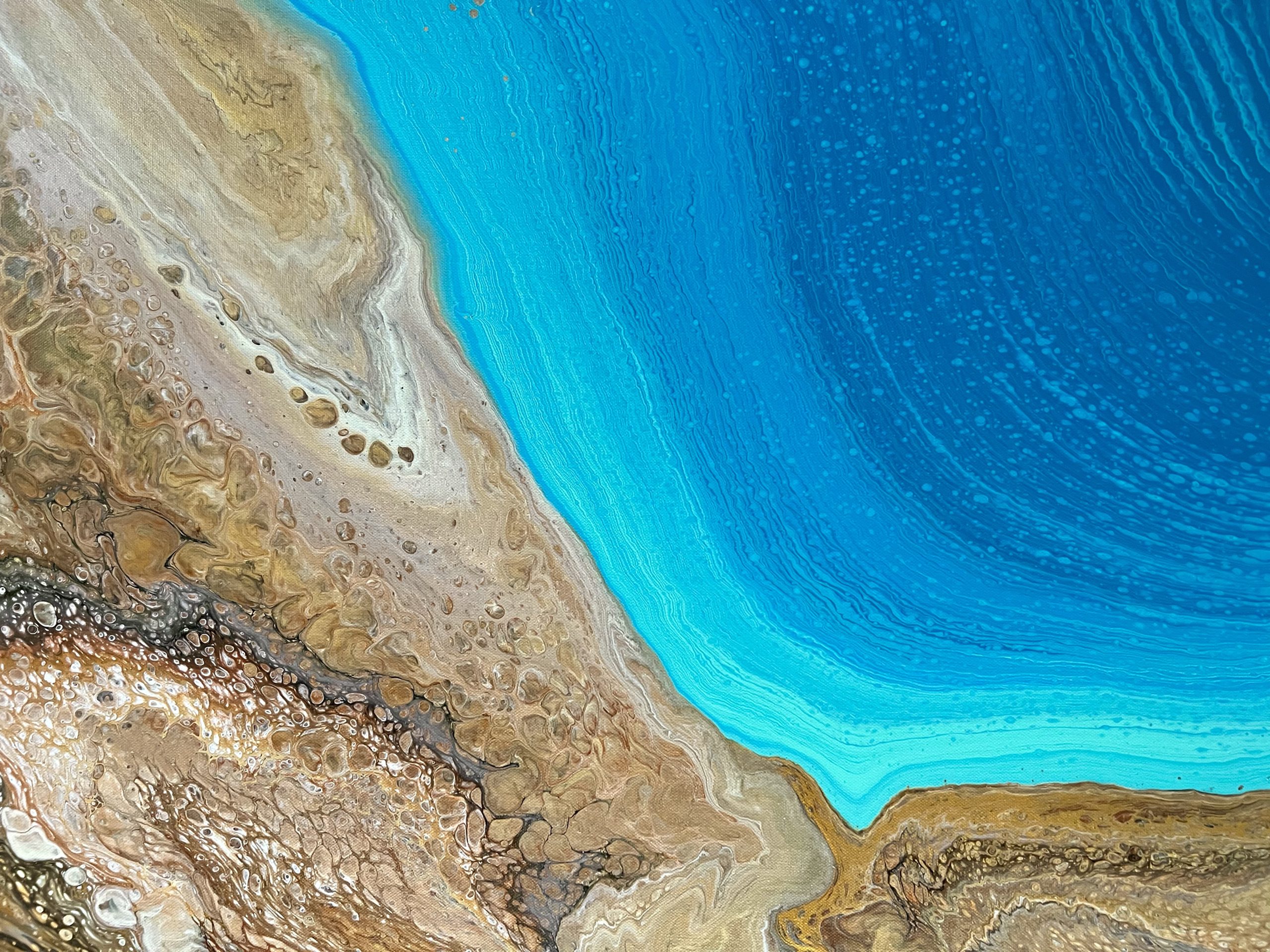 1de0809f Bc56 4b1f 8a0e C2492d36ebbc