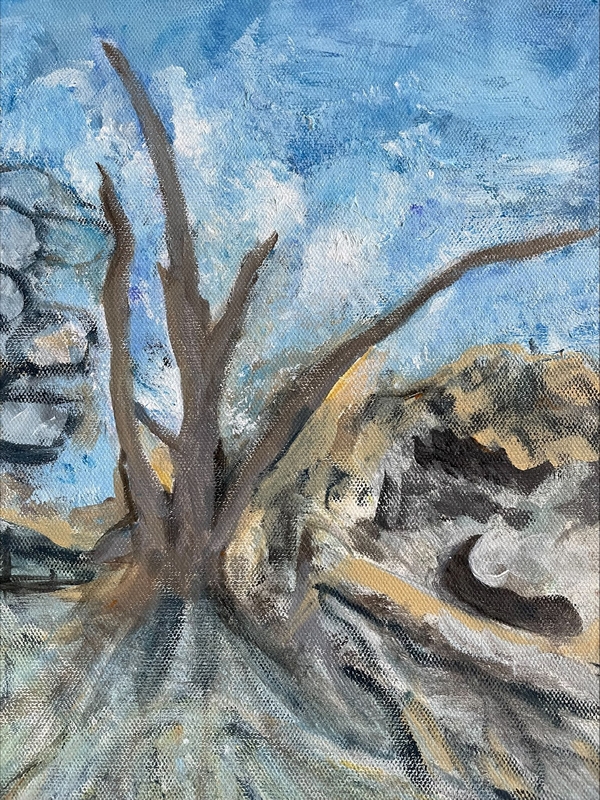 20230216 Rocky Point Island Detail