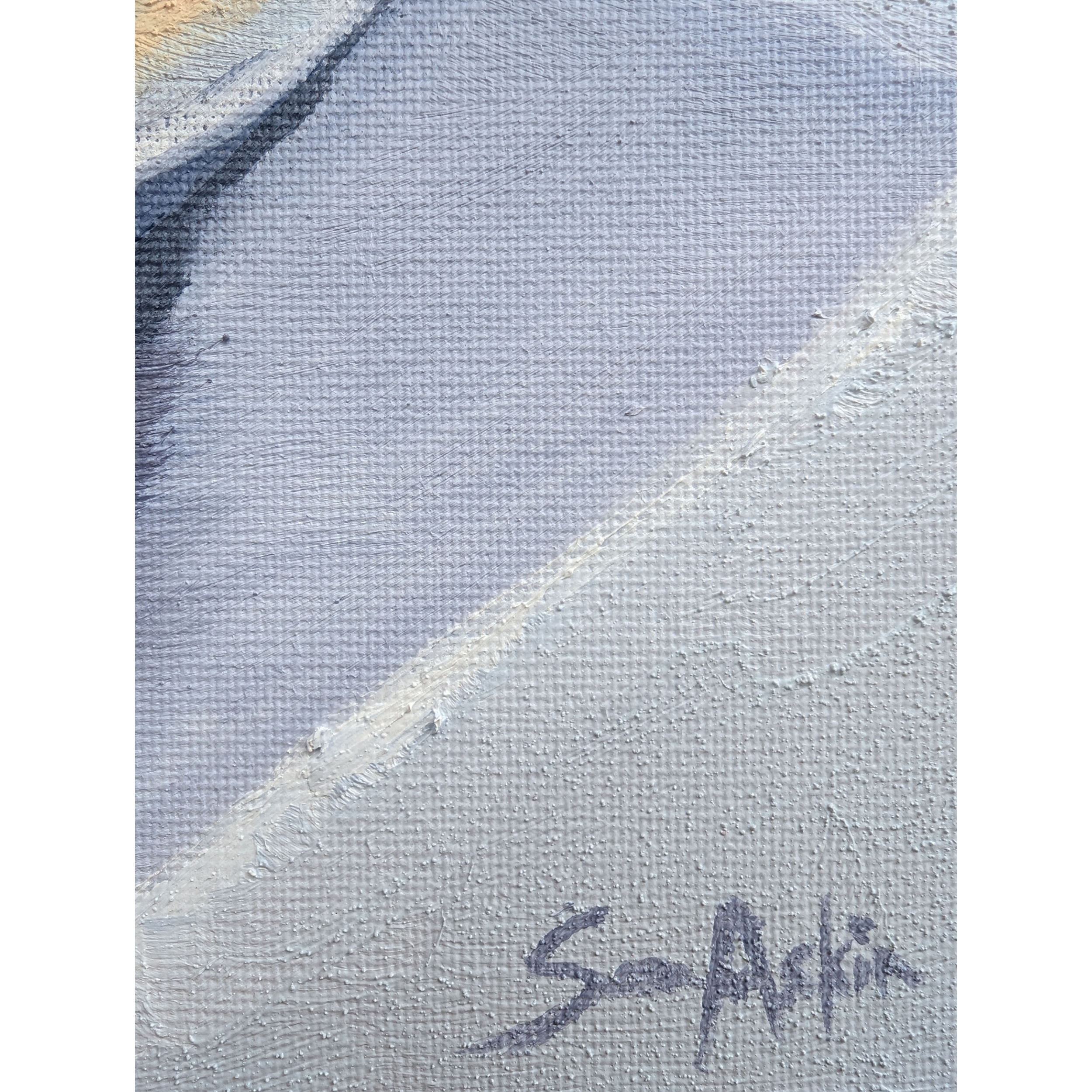 Sam Askin Tim Tam And Raspberry Ripple Ice Cream Signature