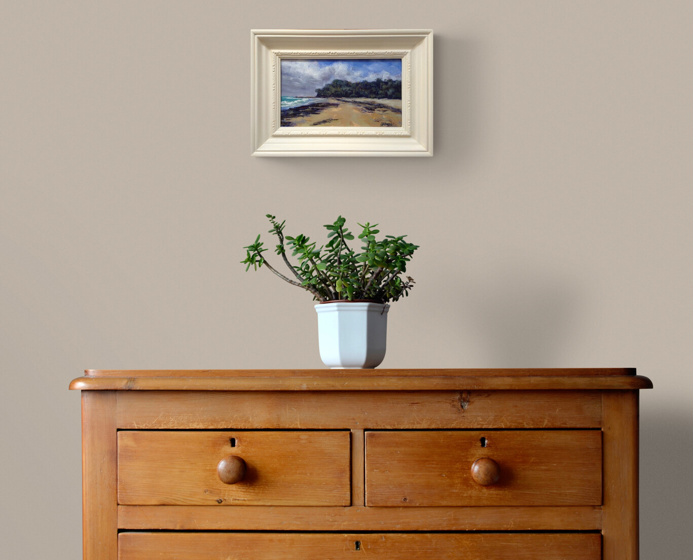 Plant On Wooden Drawers (8)