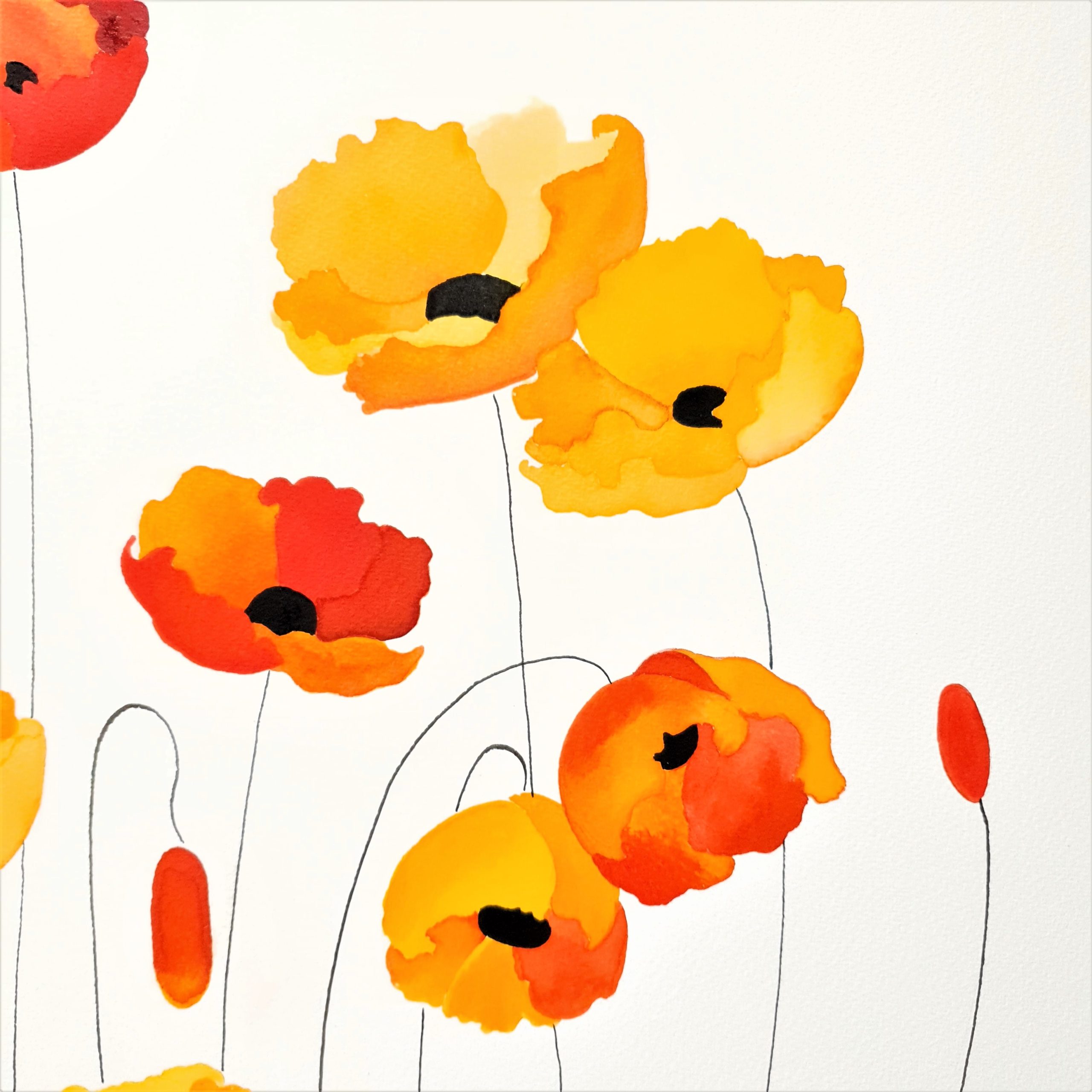 Not Gold, Not Orange Lucinda Leveille 1