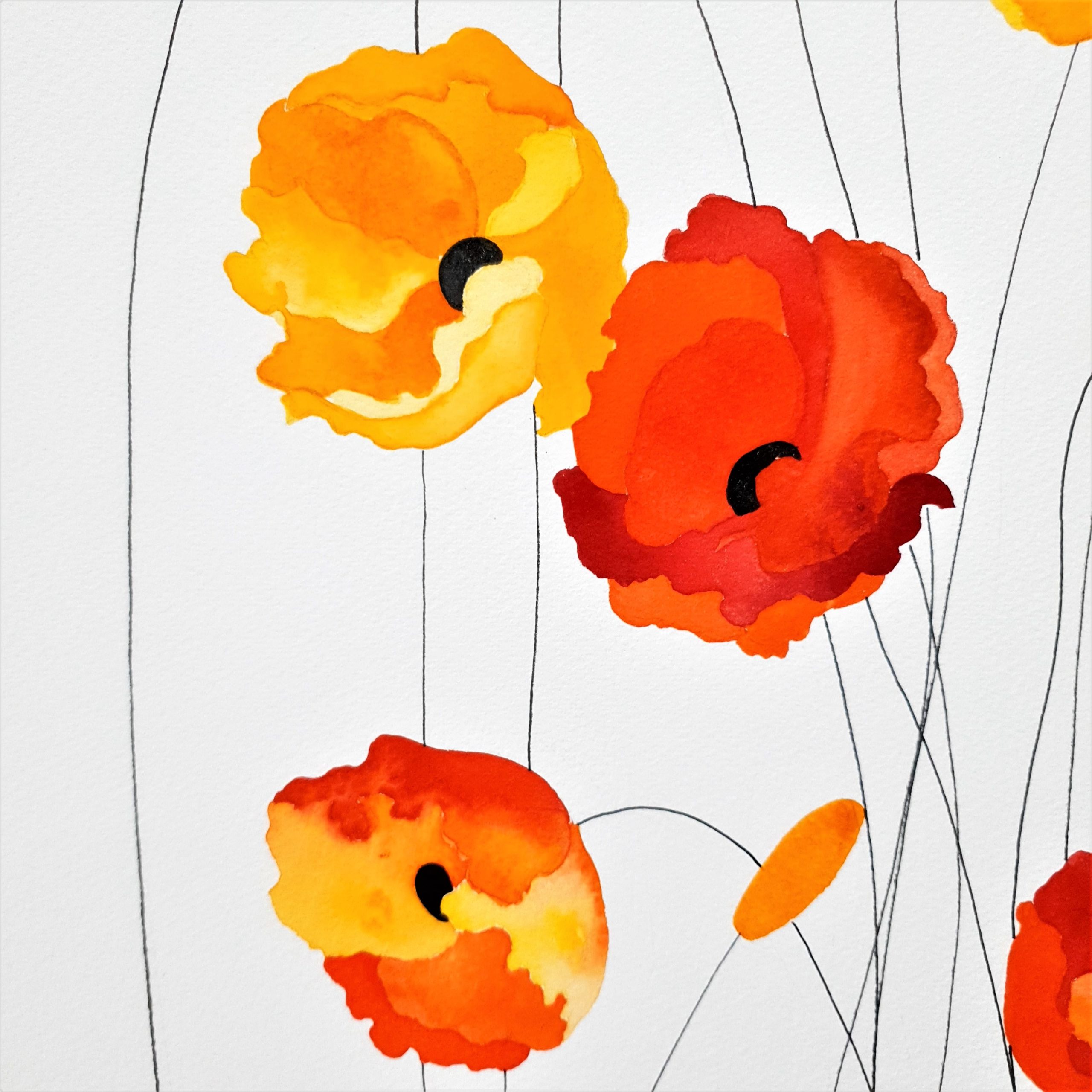 Not Orange, Not Gold Lucinda Leveille 1