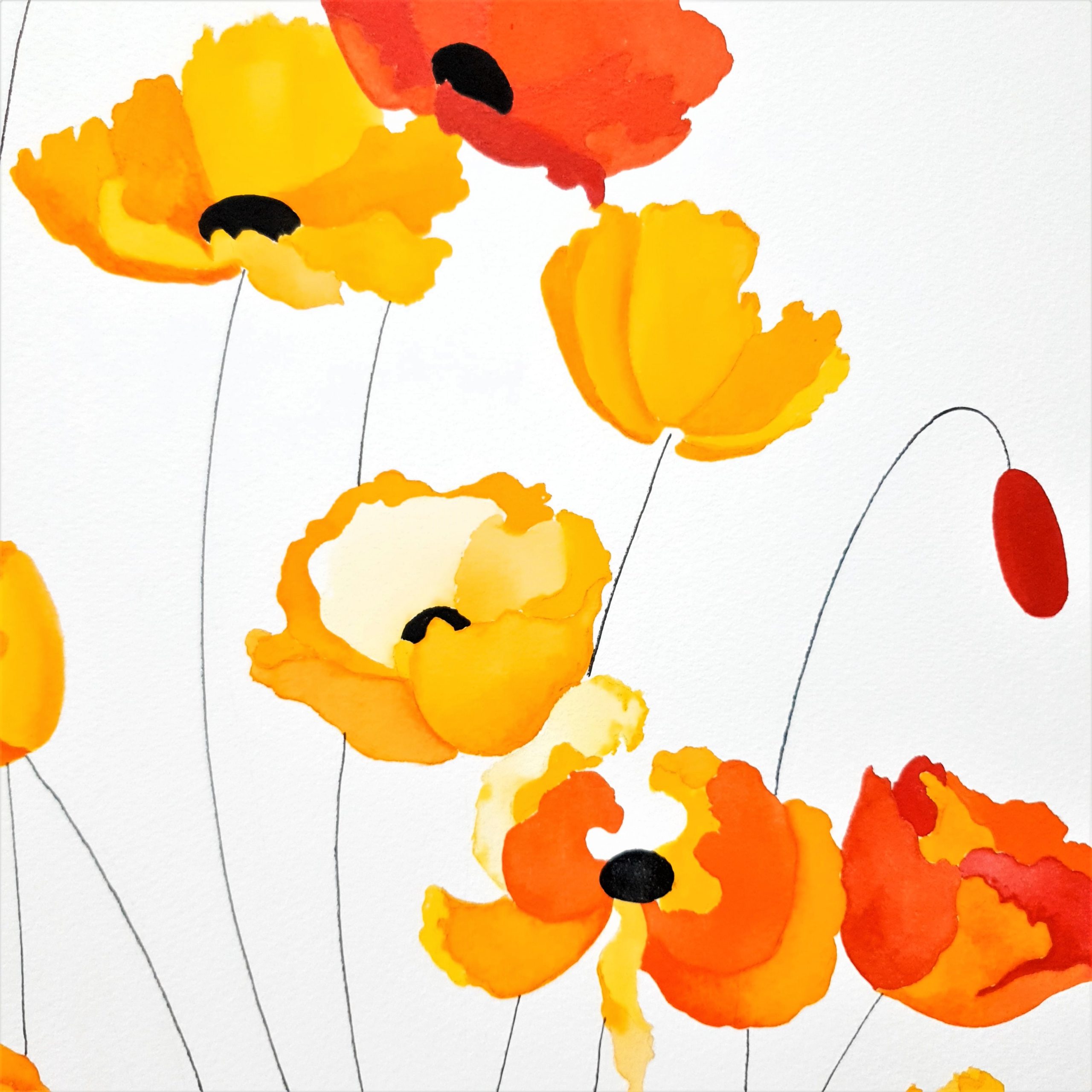 Not Orange, Not Gold Lucinda Leveille 2