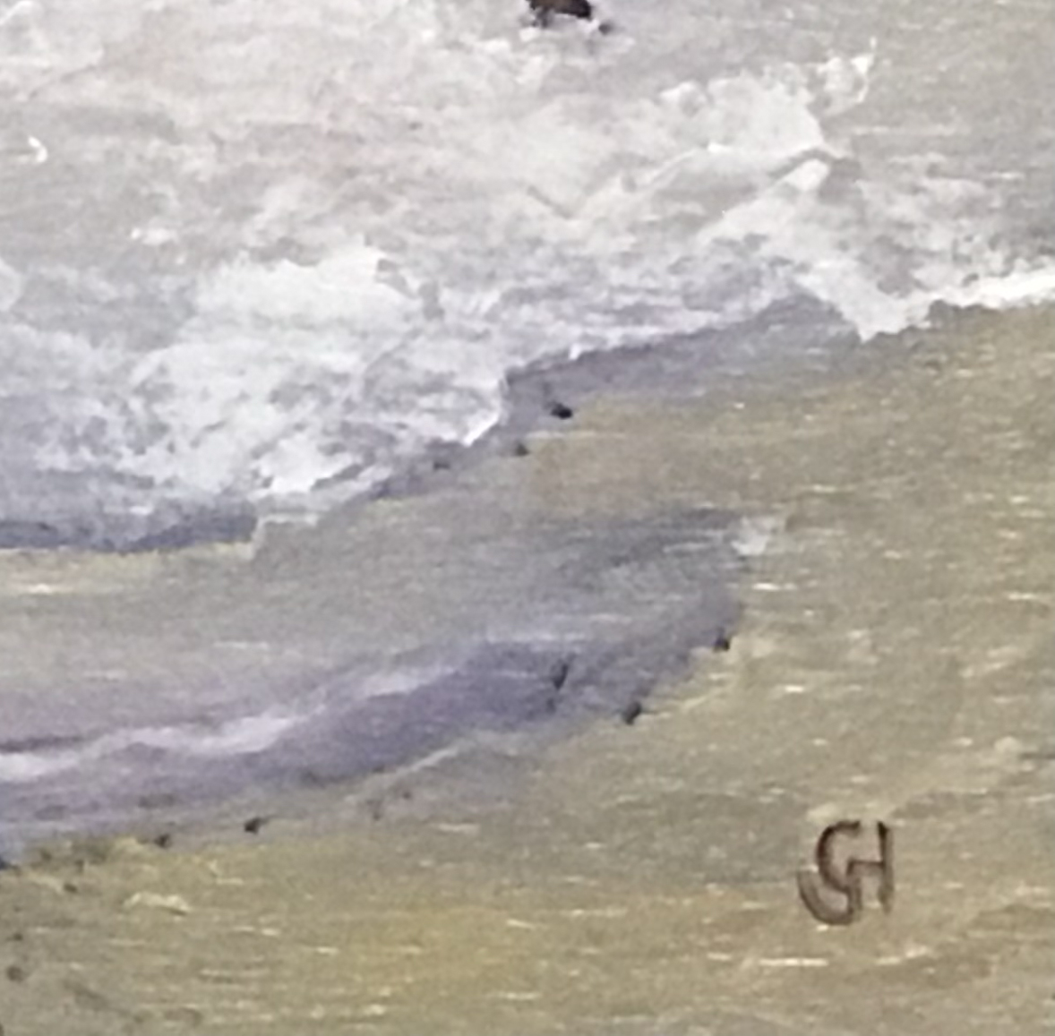 Wooli Beach Fishing Signature