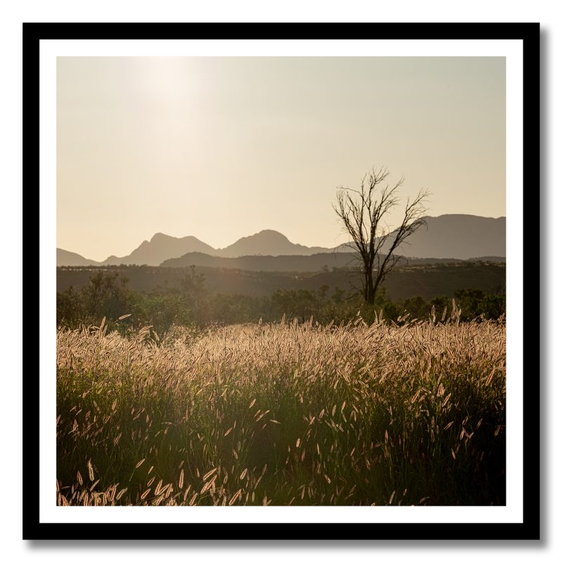 Grass Plains Outback Australia No 5 – Ltd Ed Framed Print