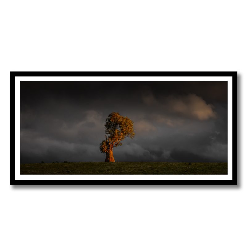 Highlander – Ltd Ed Framed Print