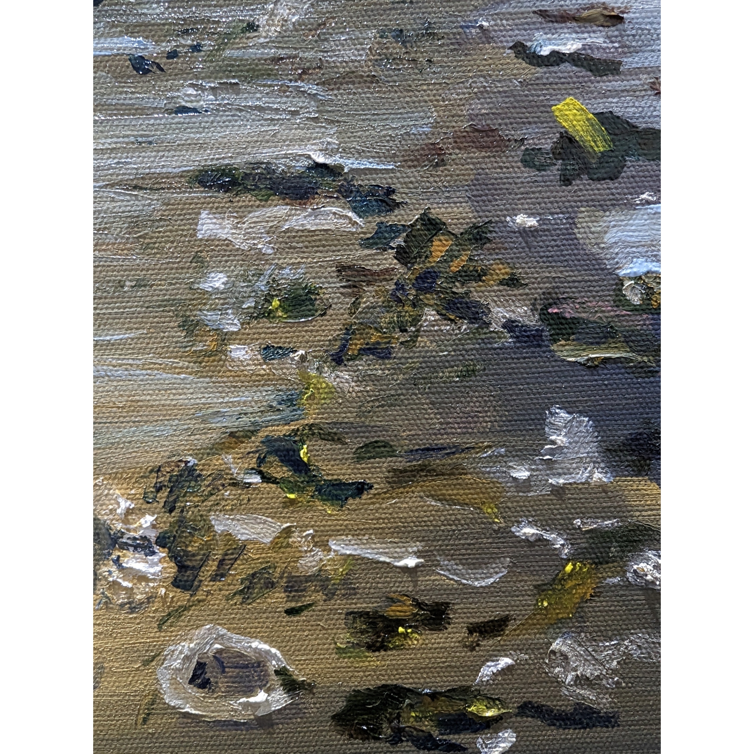 Sam Askin Beach Sunset Debris