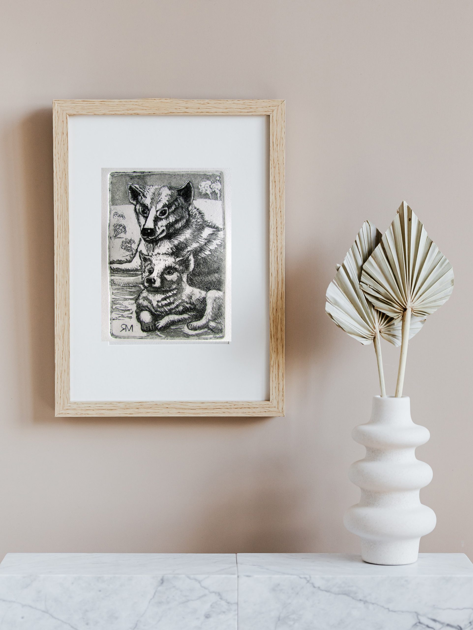 Dingo And Pup Insitu