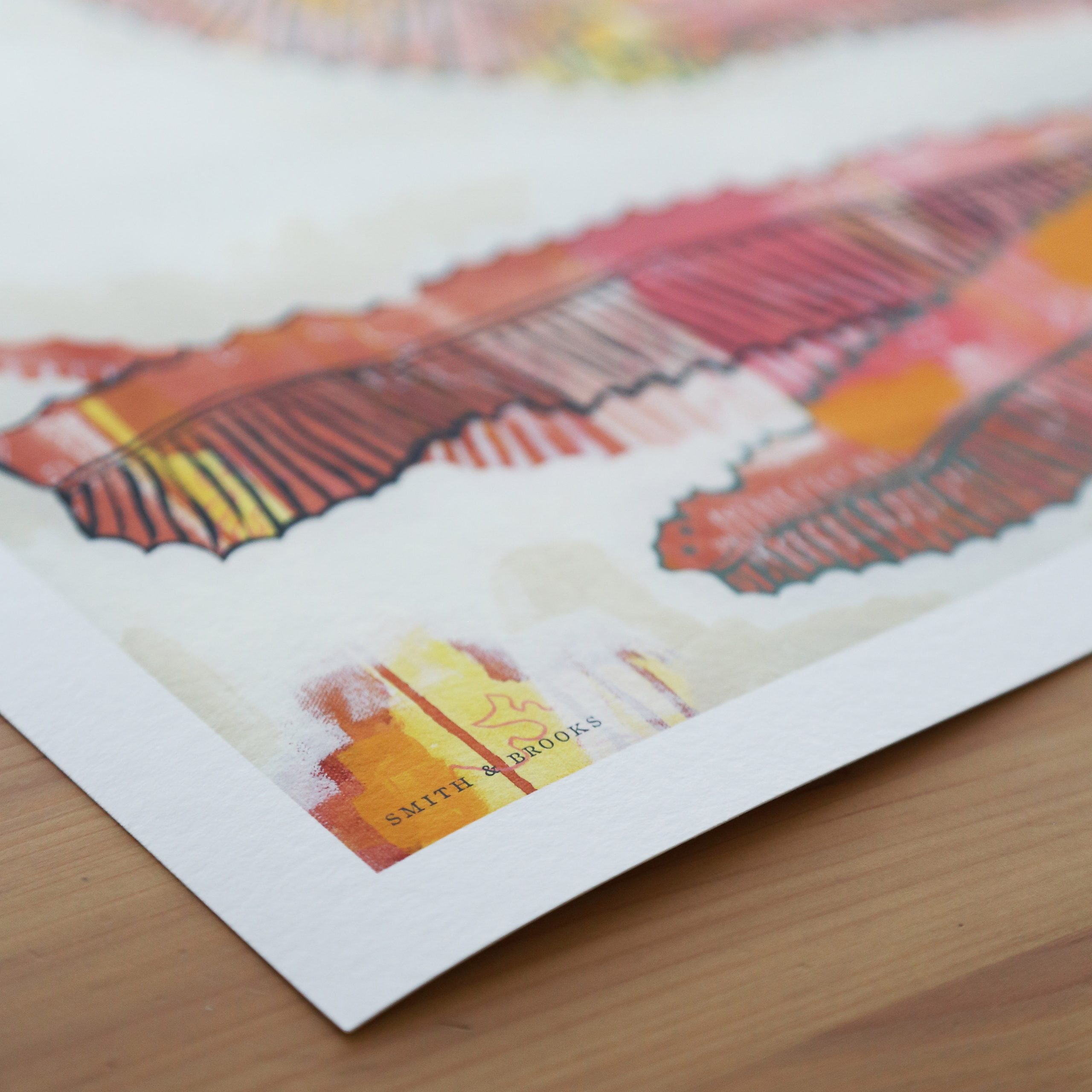 03 Menziesii Moment Smith And Brooks Art Smith & Brooks Brisbane Artist Buy Art For Your Home Australian Artist Contemporary Australian Art Banksia Art Pink And Red Art