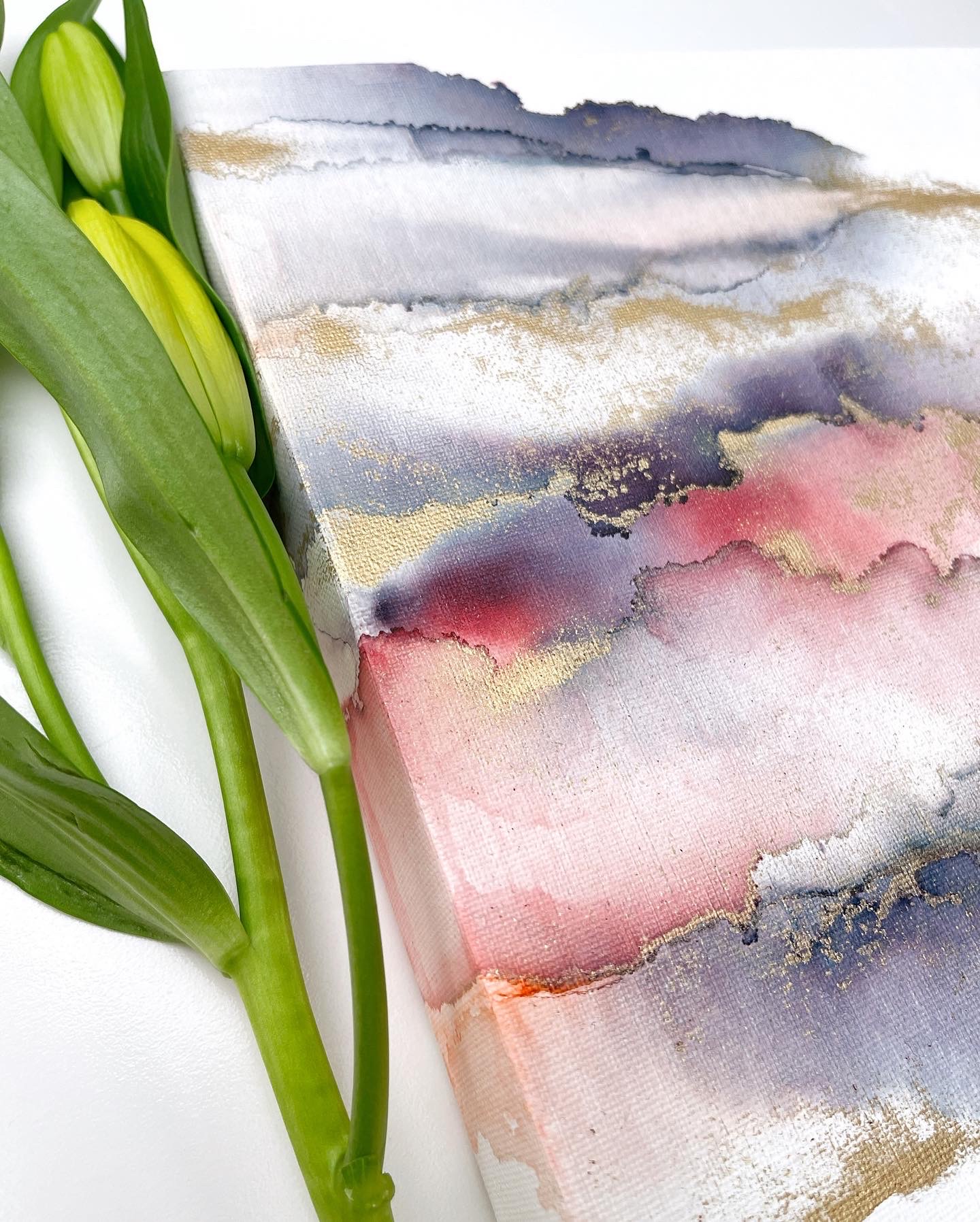 1e278c53 76eb 43c2 90b7 Cf04e6dc037f