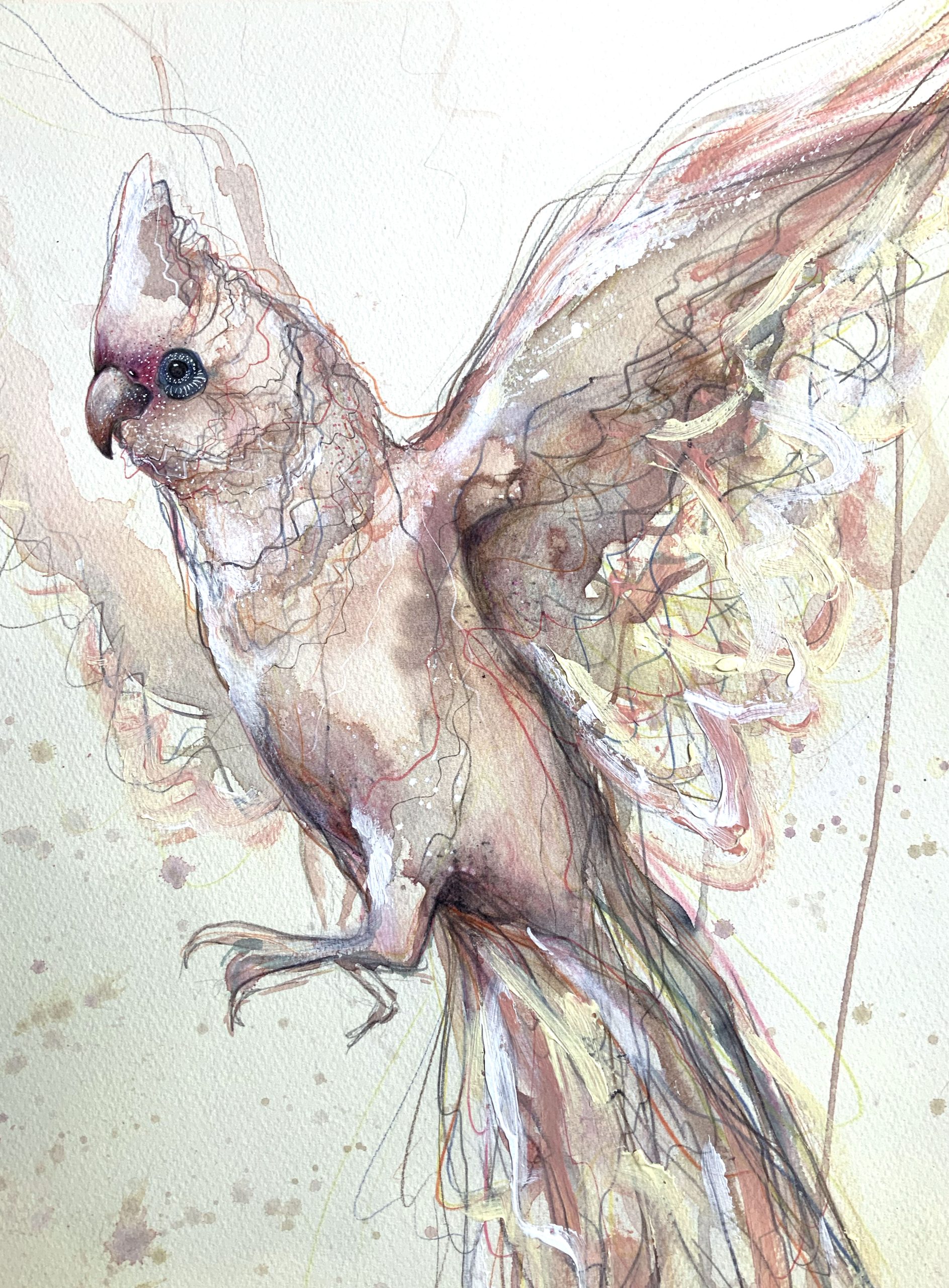 Leni Kae Corella Spirit Closeup 42x57cm