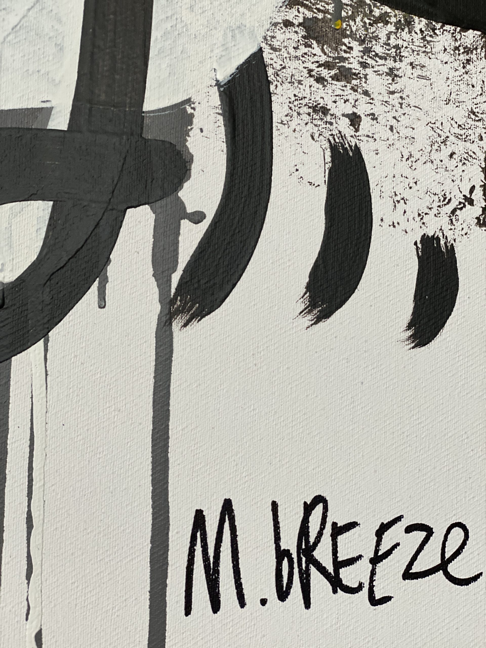 Martin Breeze Quixote Signed