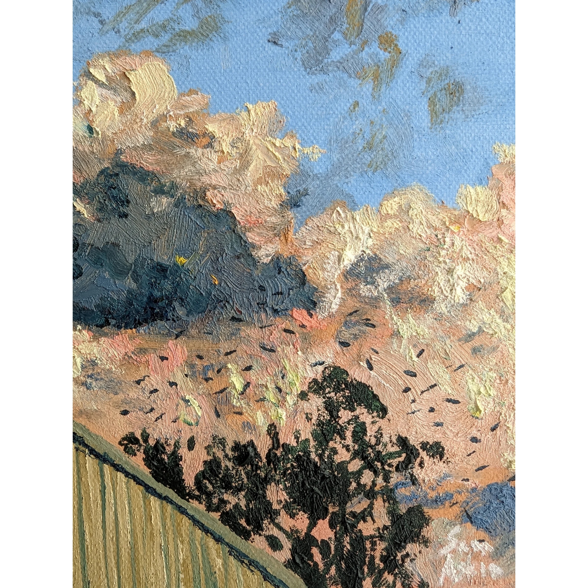 Sam Askin Backyard Sunset Lorikeets