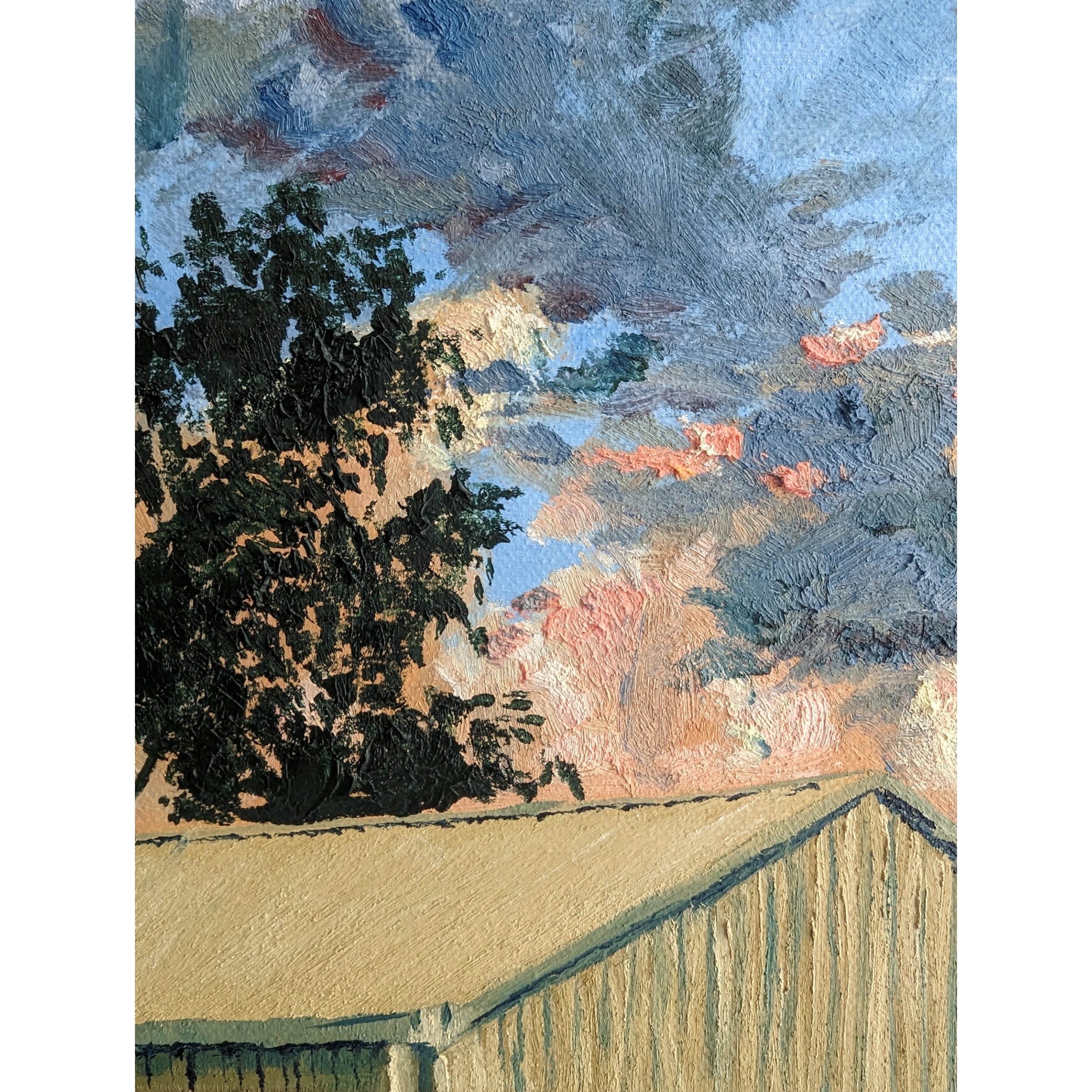 Sam Askin Backyard Sunset Shed