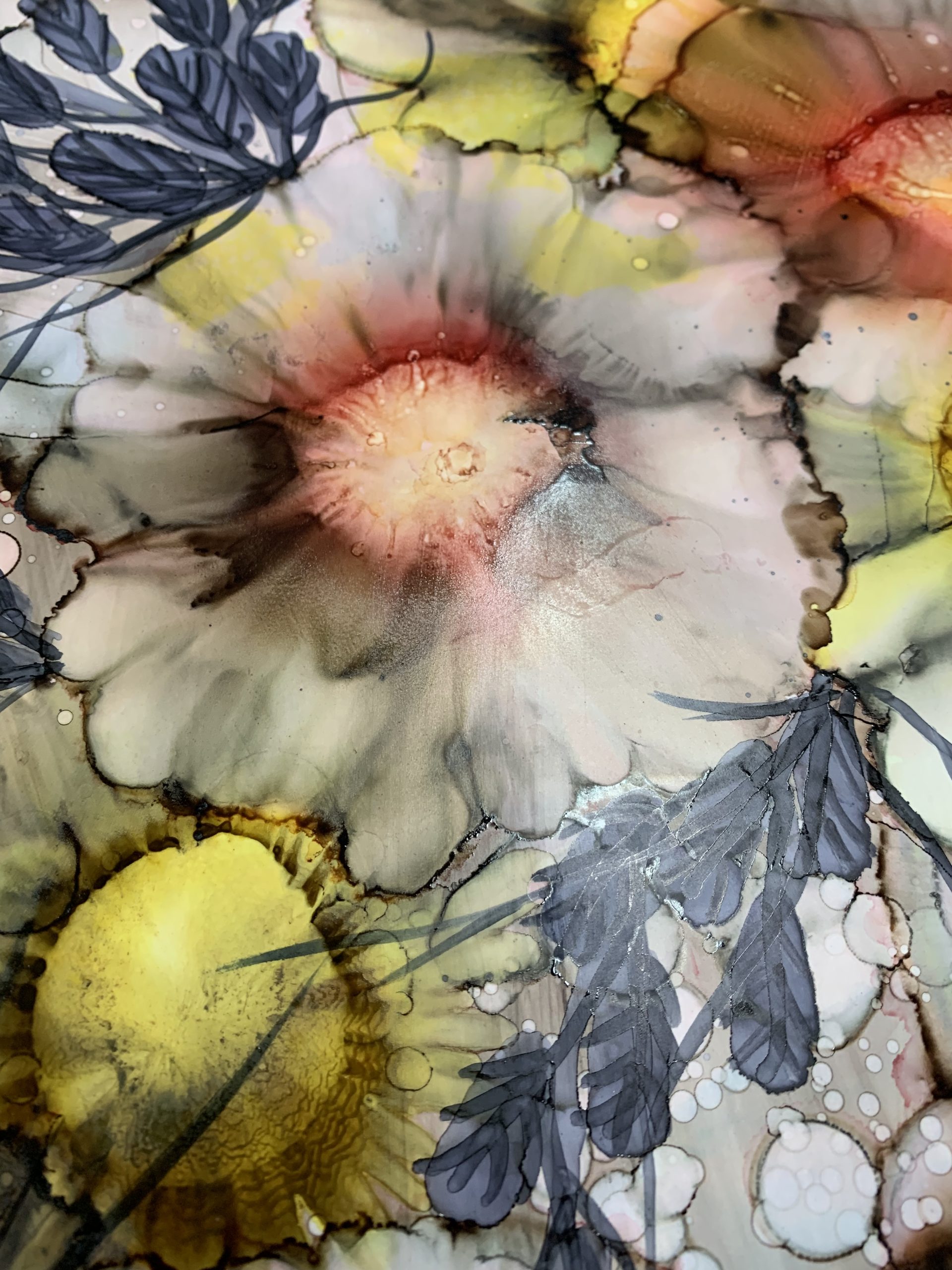 Efdd6c76 D150 4992 B7fd F8431496d4c2