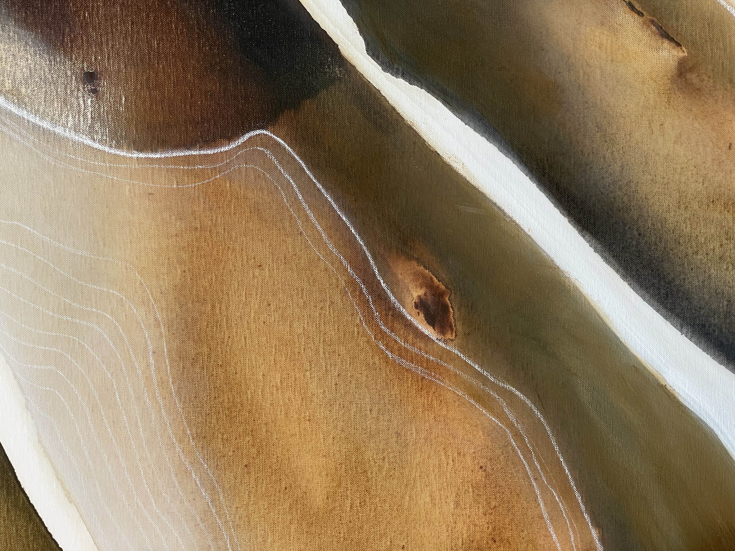 Awatere Valley 1 (detail 1)
