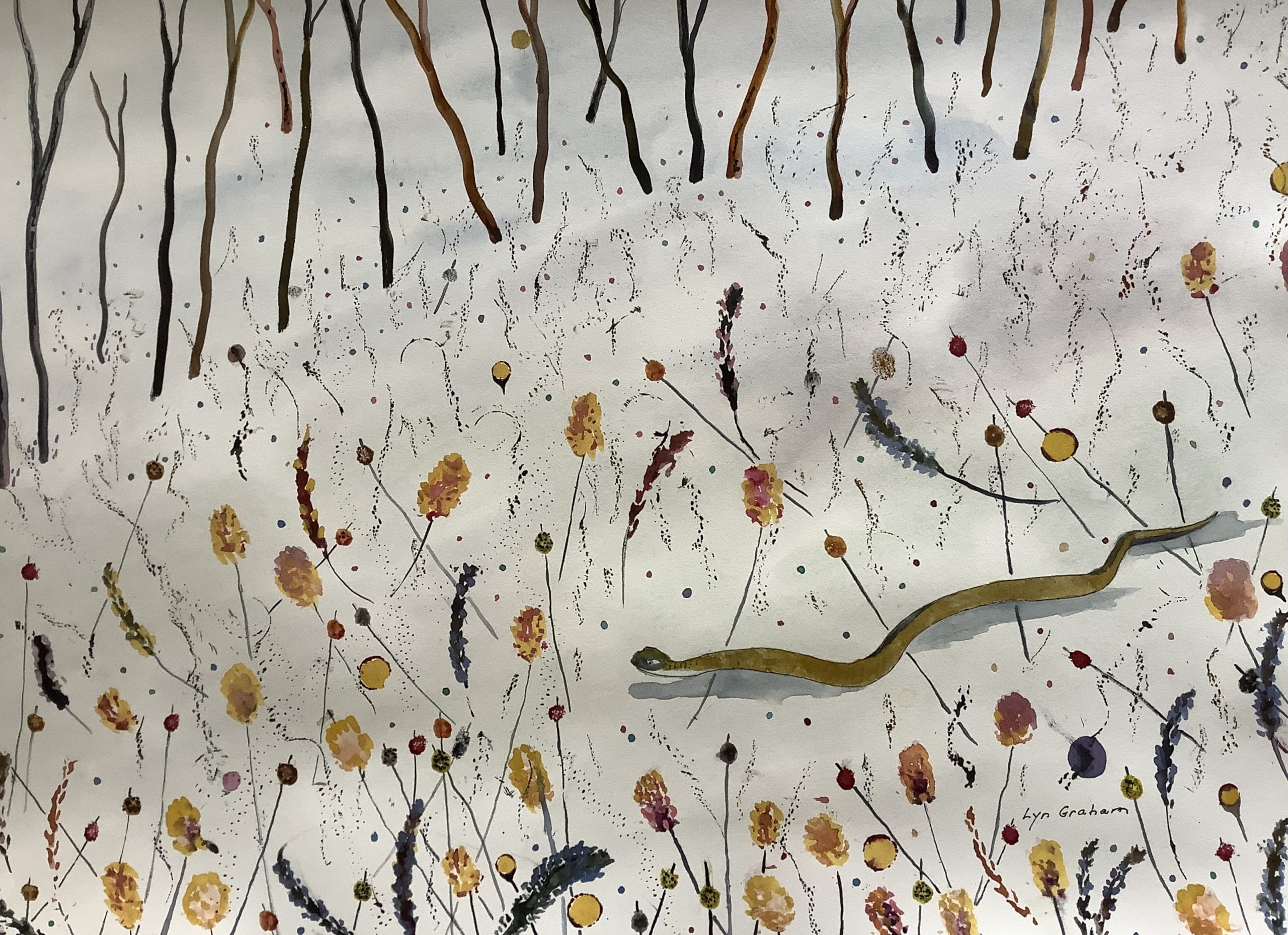 Lyn Graham Snake 3 Watercolour On Cotton Paper 59.5 X 41.5