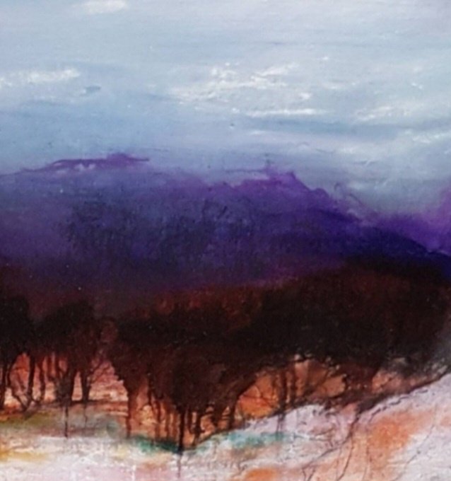 Tapscanner 11 23 2023 11꞉56 20231123 115818 616 29