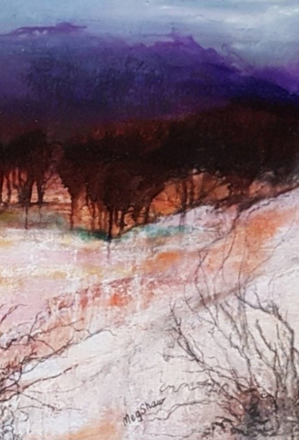 Tapscanner 03 23 2023 18꞉49 20230323 185010 866 60