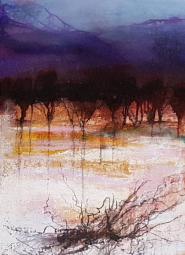 Tapscanner 03 23 2023 18꞉49 20230323 185014 376 74