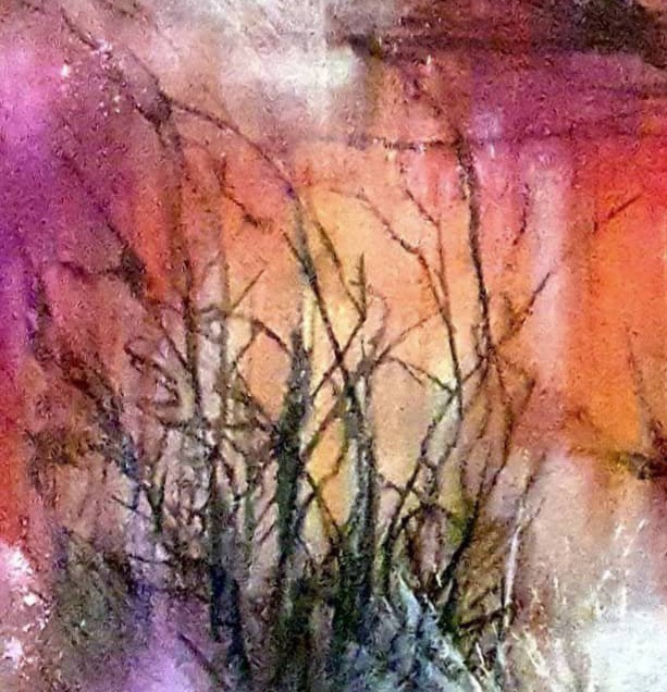 Tapscanner 03 25 2023 12꞉50 20230325 125126 941 72