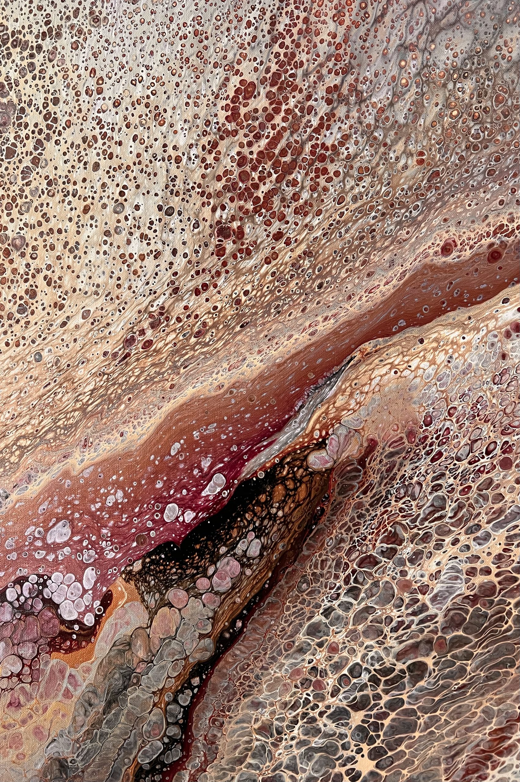 D565ee72 D079 47f9 9553 466df4675191