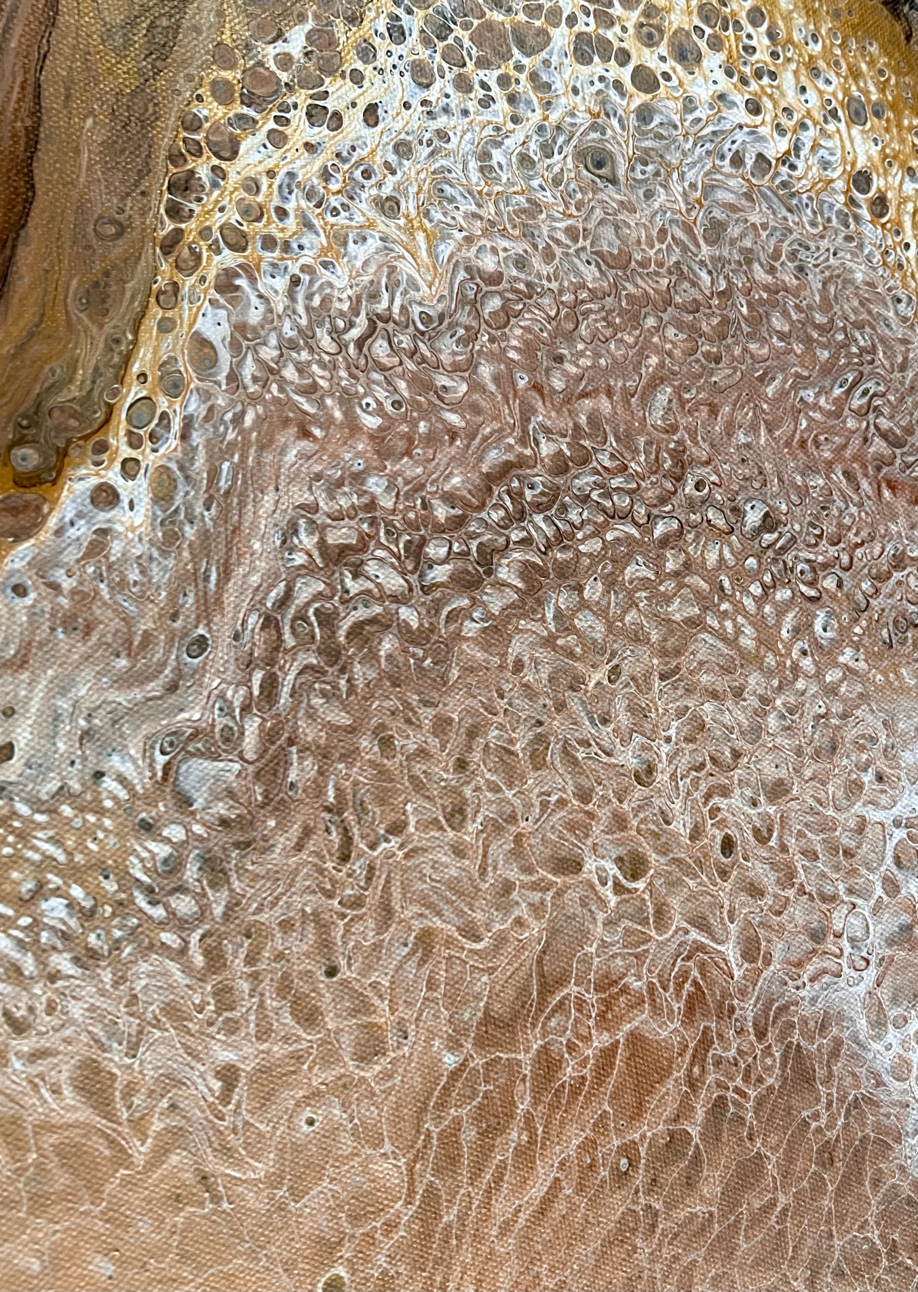 0dbd5df1 2c52 43dd 90dd 1c3a2e9fb35d