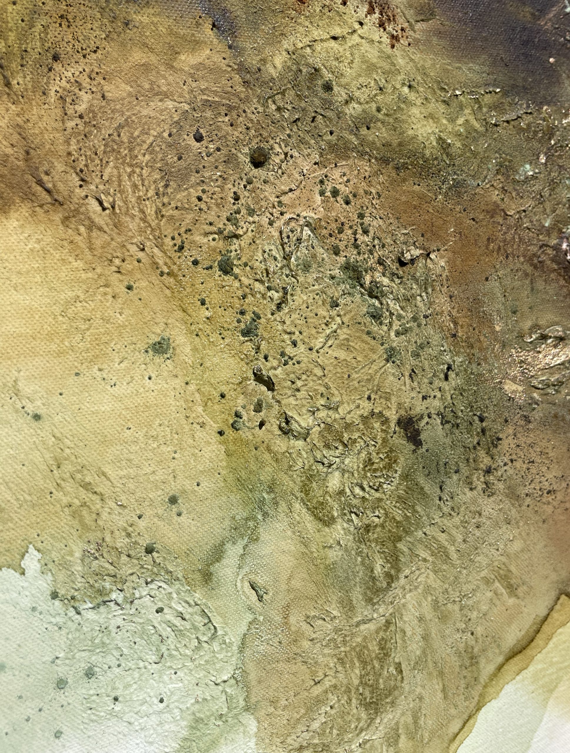 Image 5a78e4ac E8ec 43cb A69d 3d008a6bb4d5