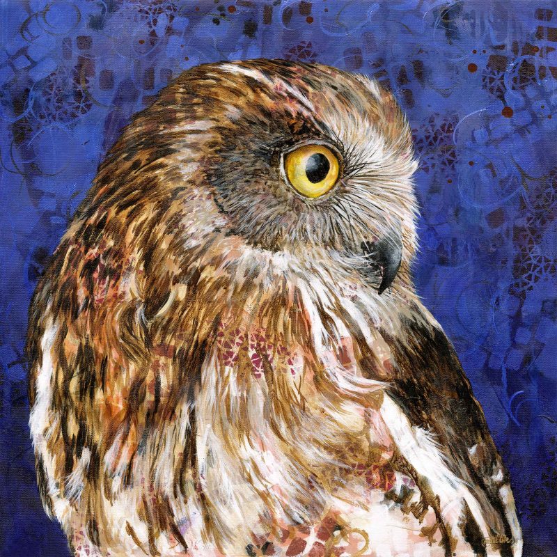 Boobook Owl –  Ltd Edition Print