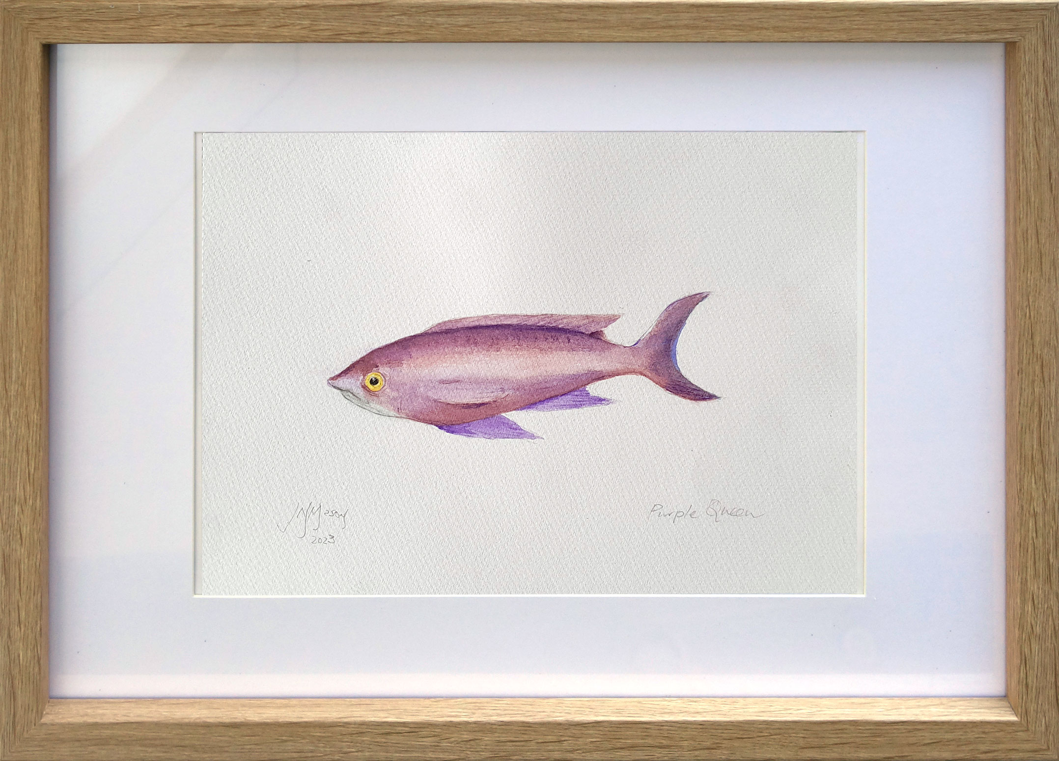 Purplequeen2 Fishframed