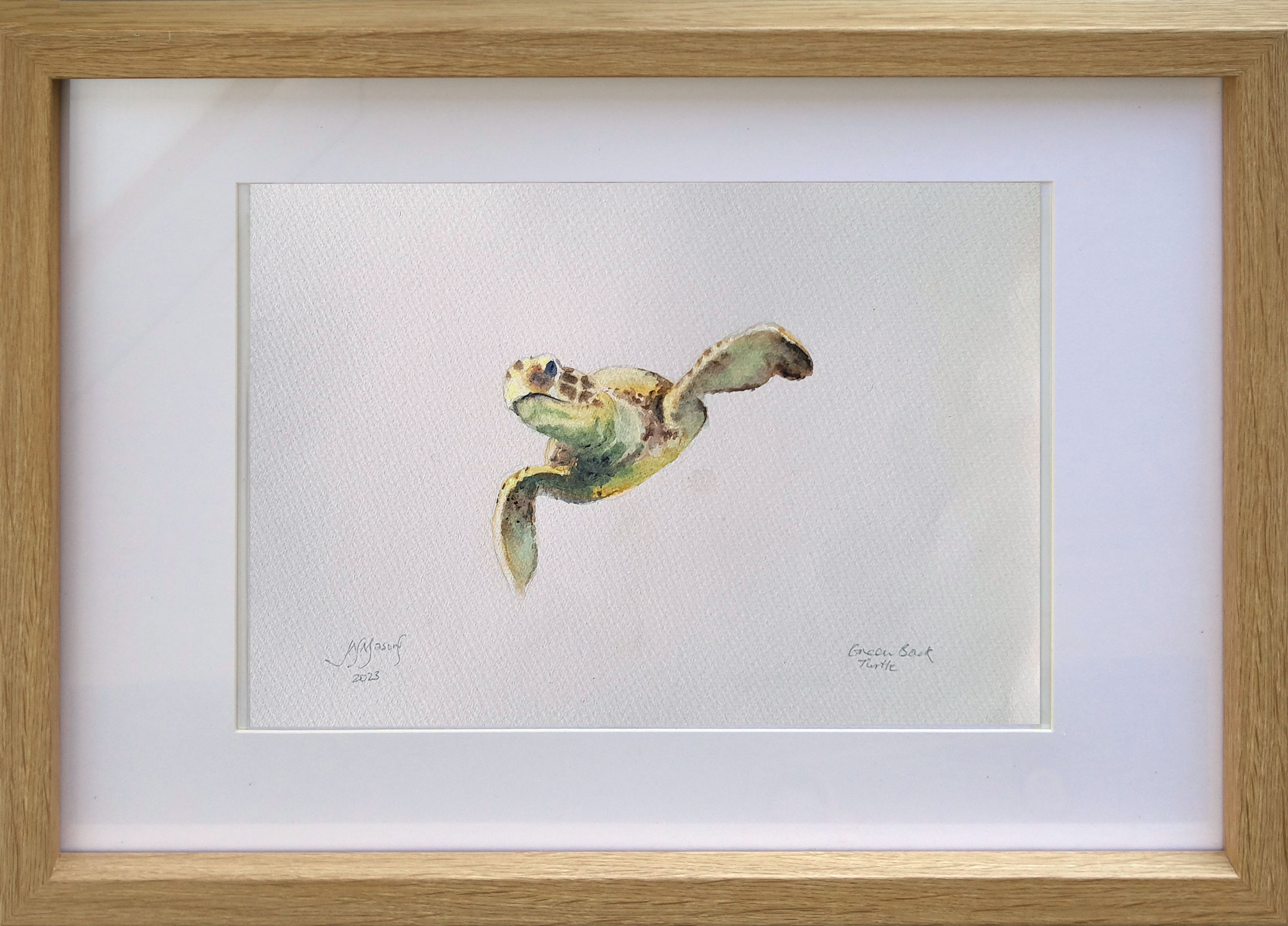 Greenbackturtle2 Framed