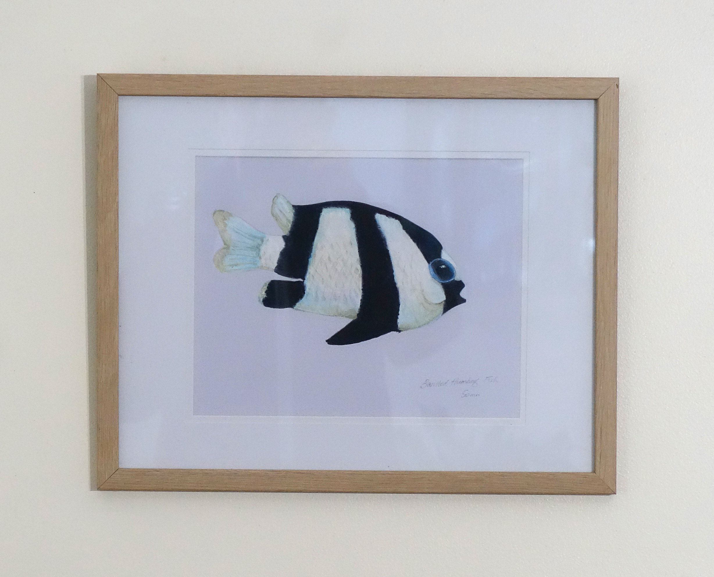 Humbugfish3framed