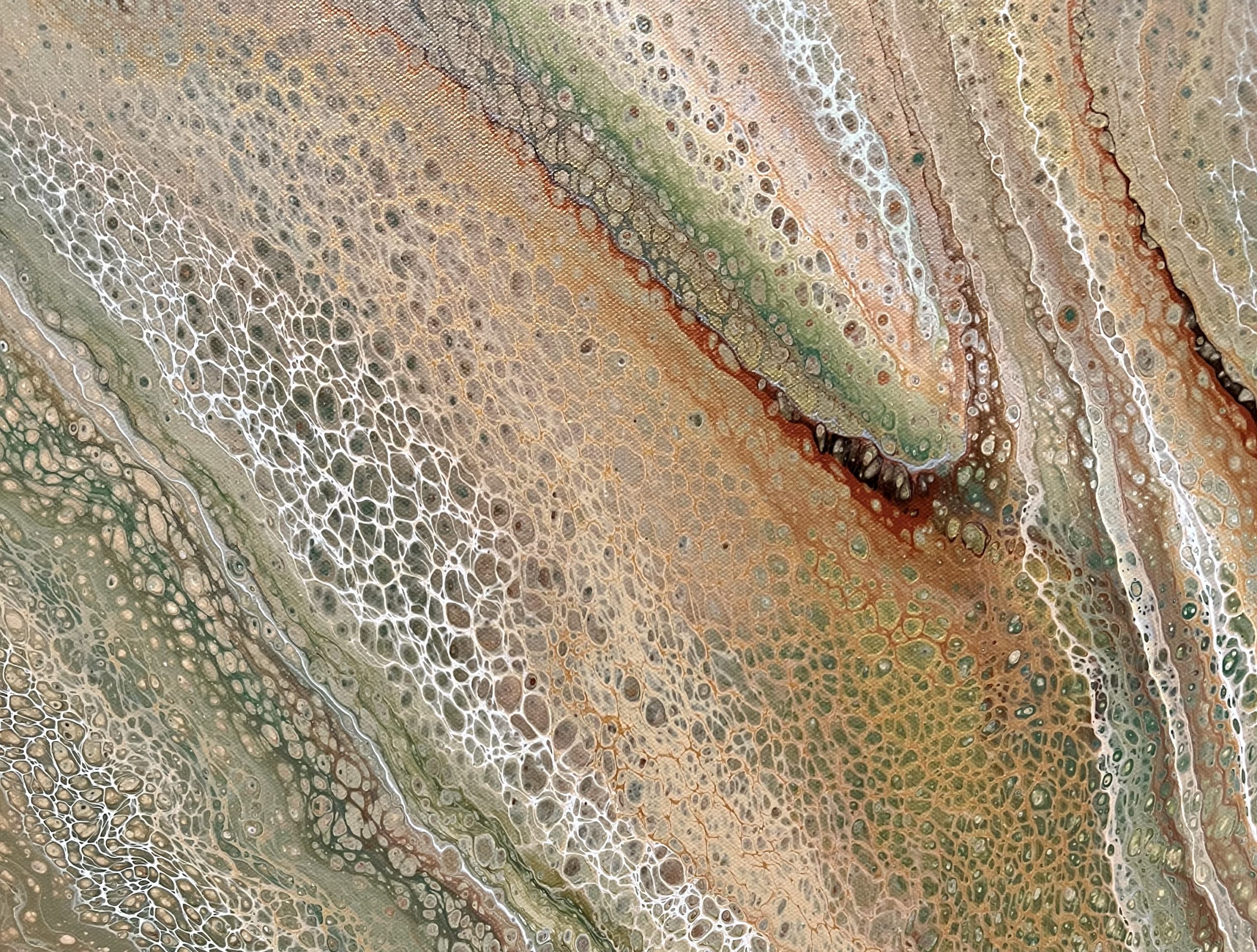 16900d0a 5a38 45ea 9e96 A1c190159173