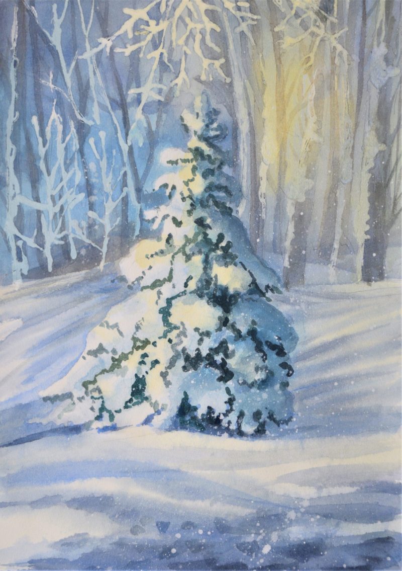 Christmas Tree in Snow