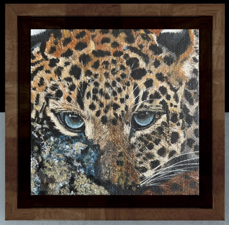 Peekaboo- Leopard cub
