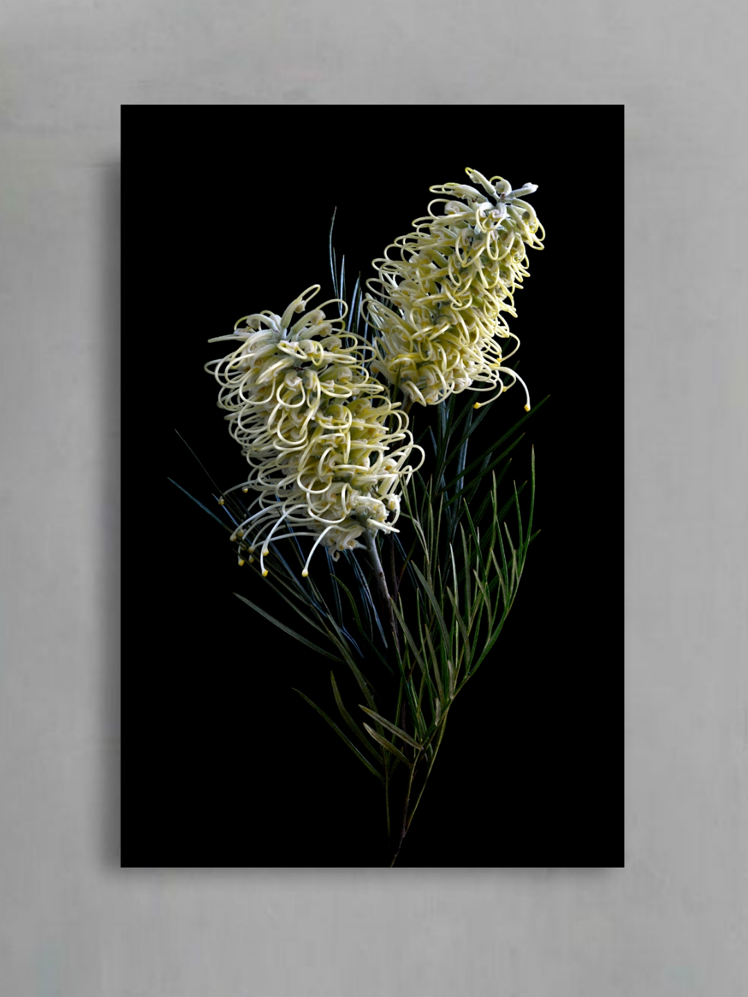 Photocollage 2023442163487