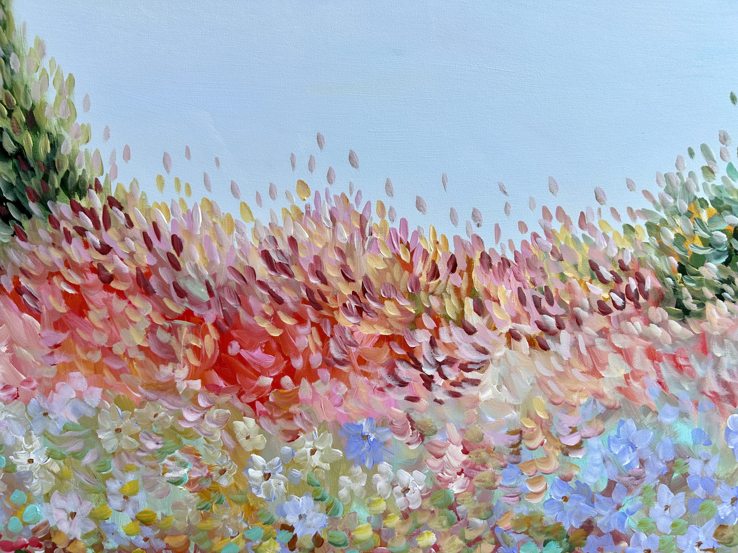 0d2e20b9 8577 433b A95d 189743273b02